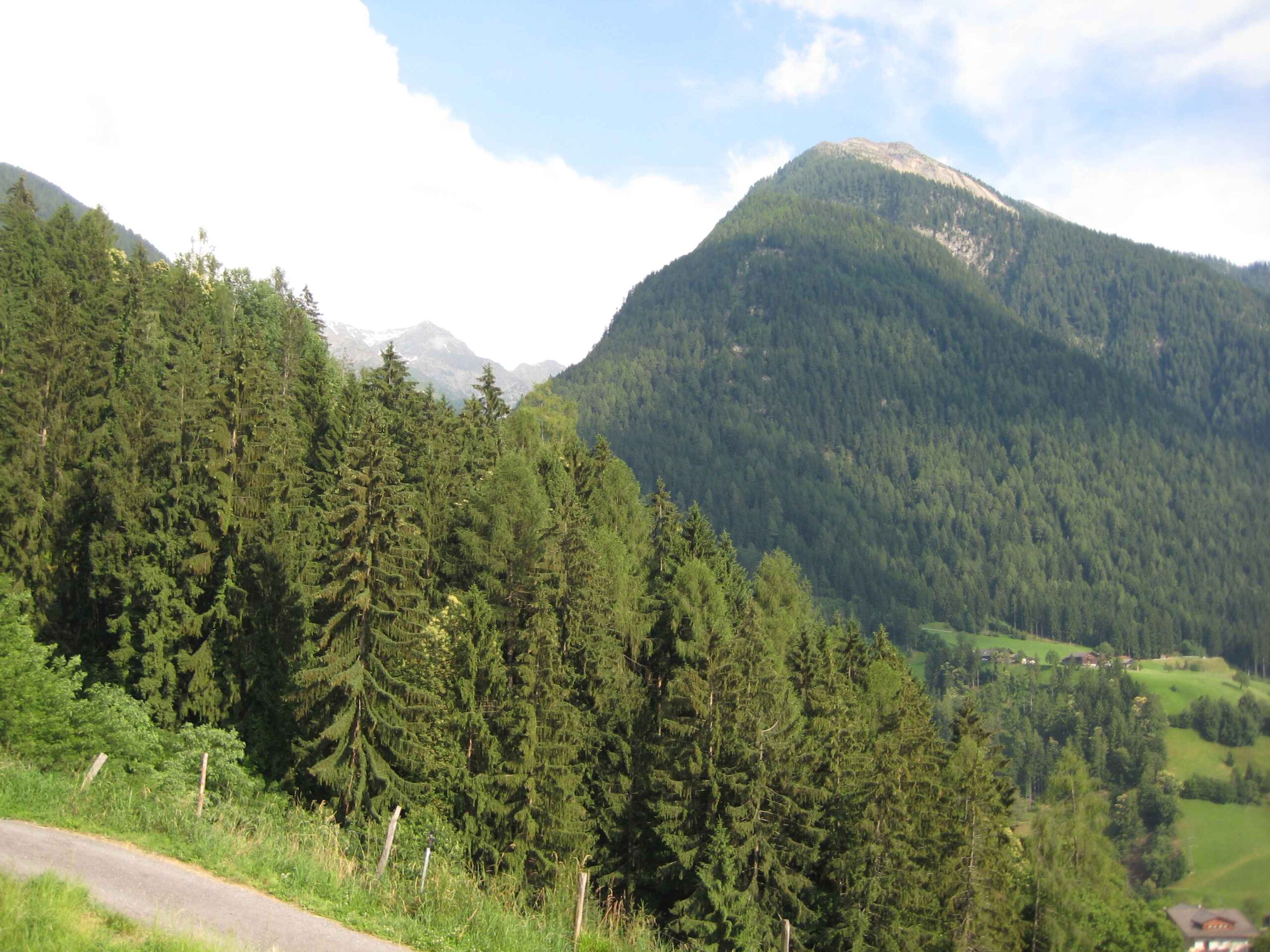 2013-Meran-Tag2 (24)