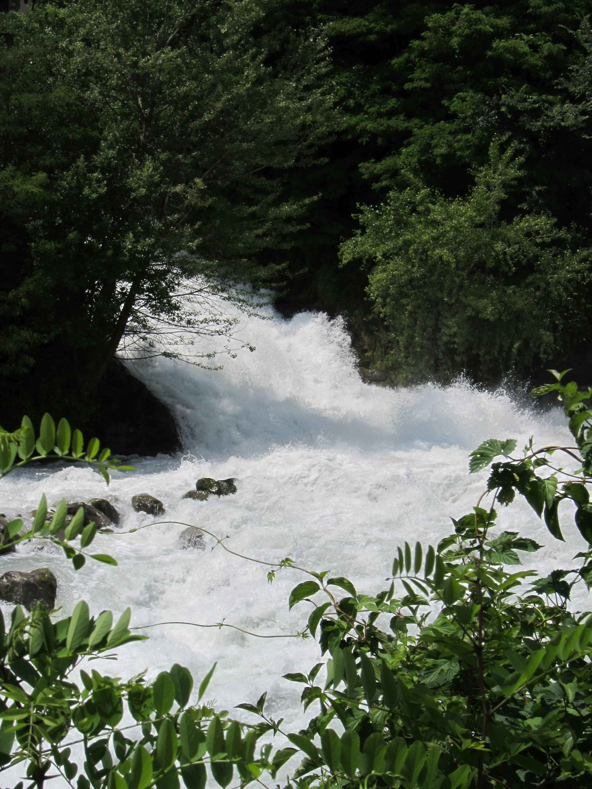 2013-Meran-Tag2 (33)