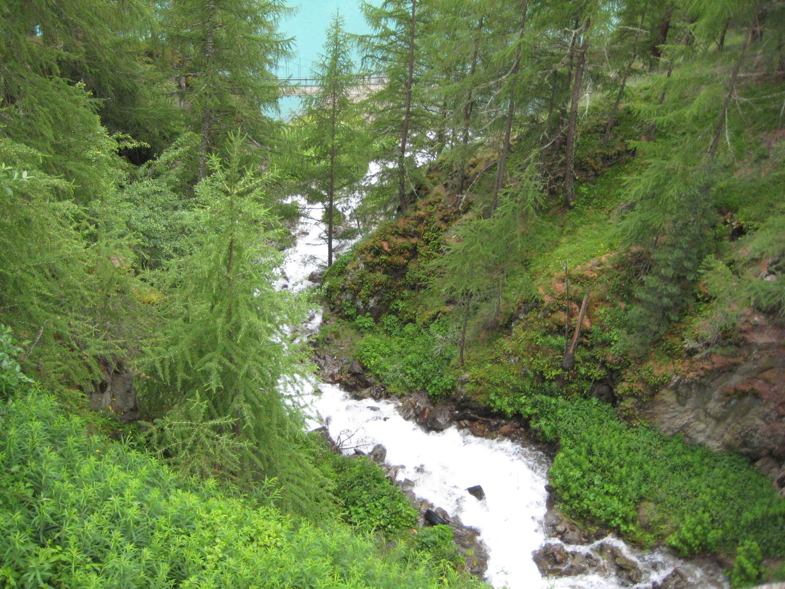 2013-Meran-Tag3 (23)