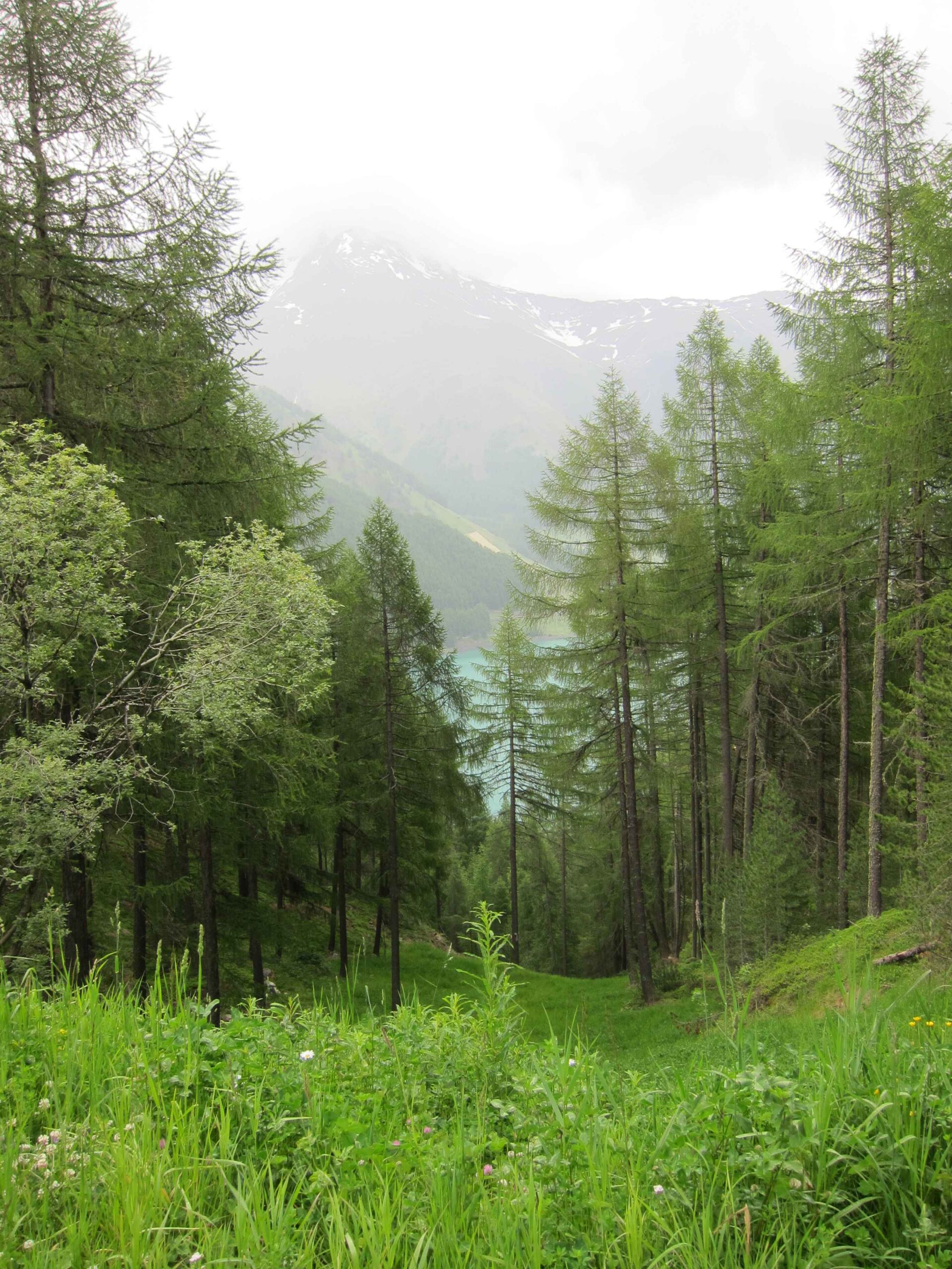 2013-Meran-Tag3 (48)