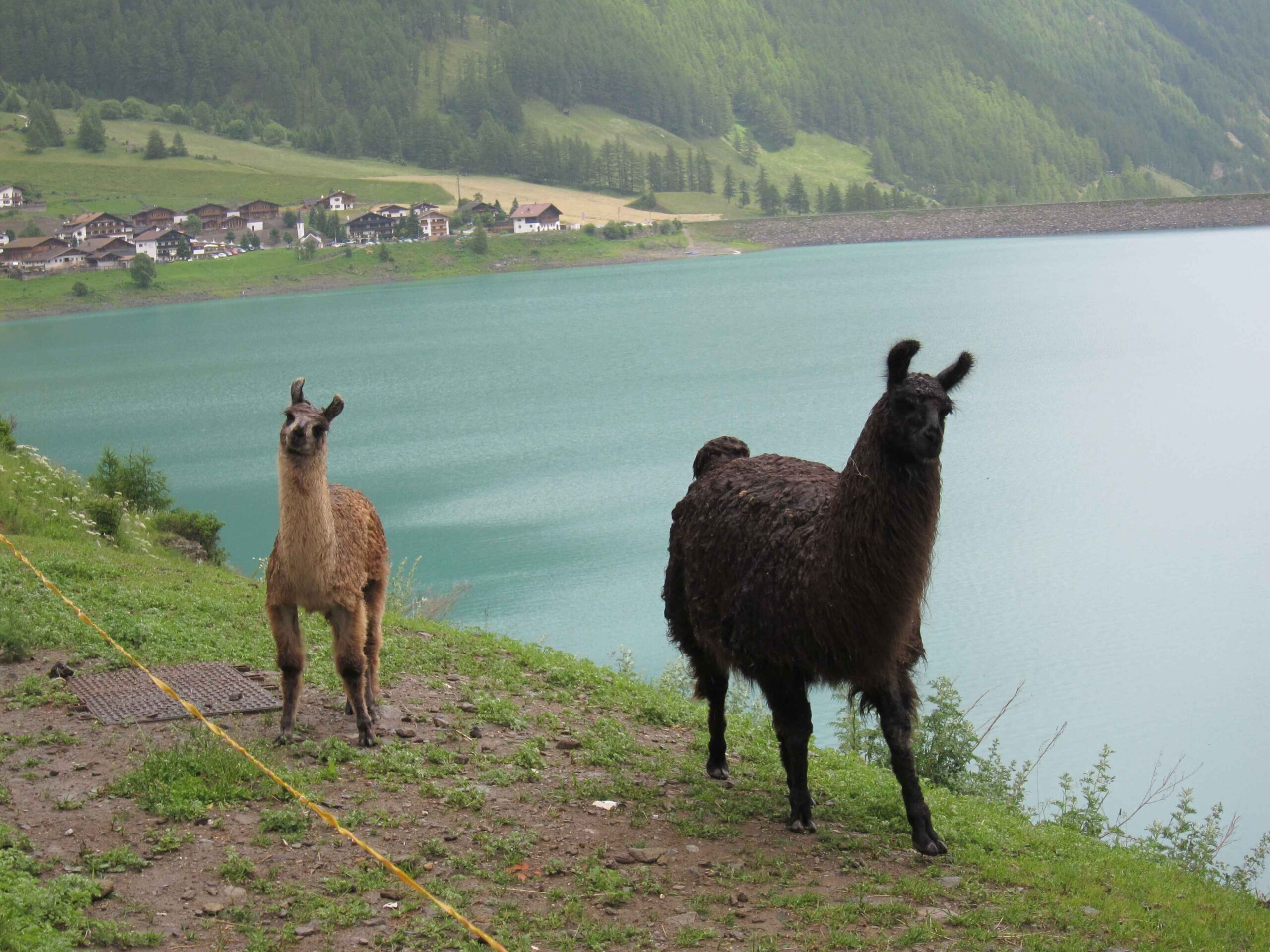 2013-Meran-Tag3 (51)