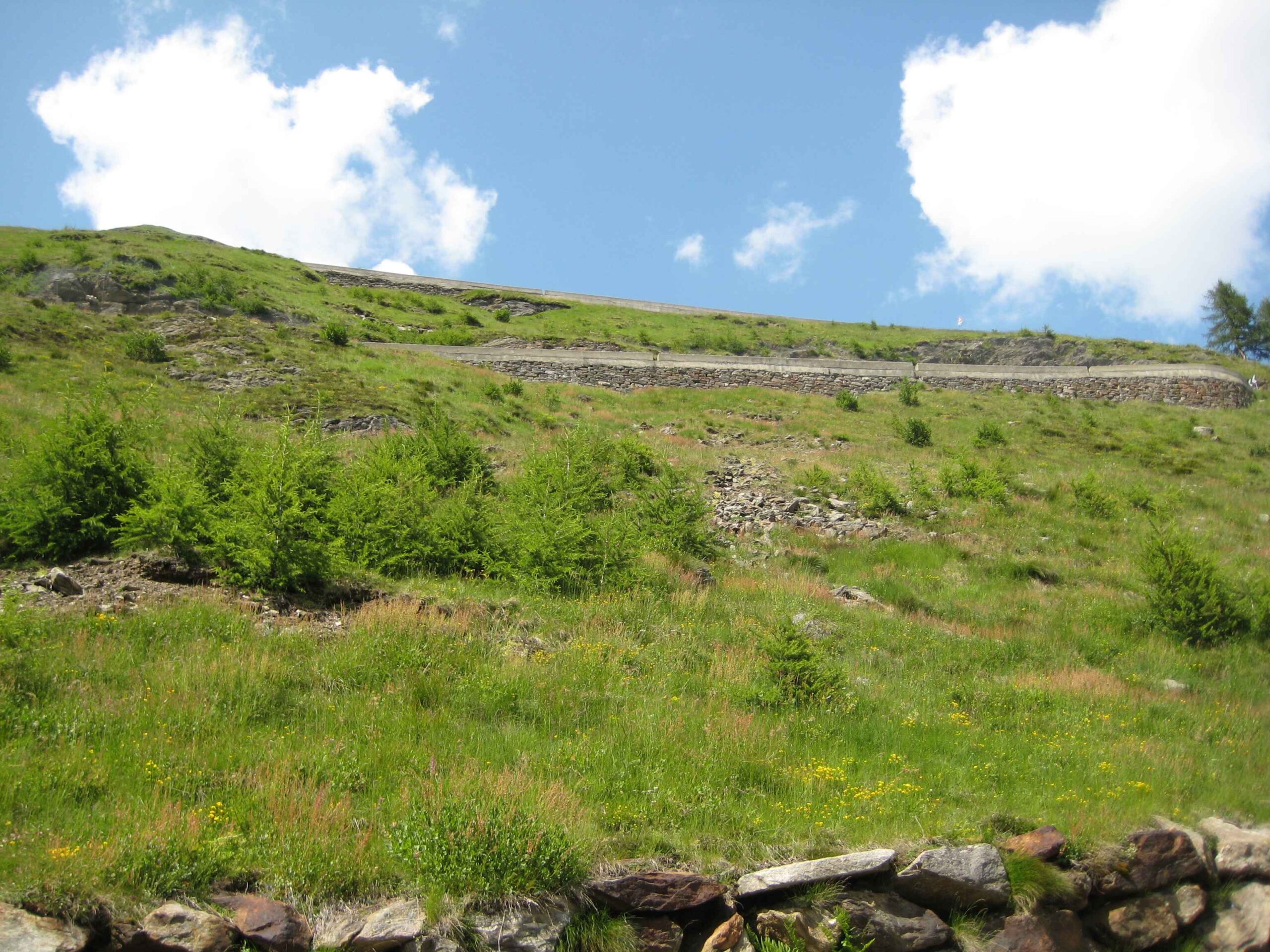 2013-Meran-Tag5 (10)