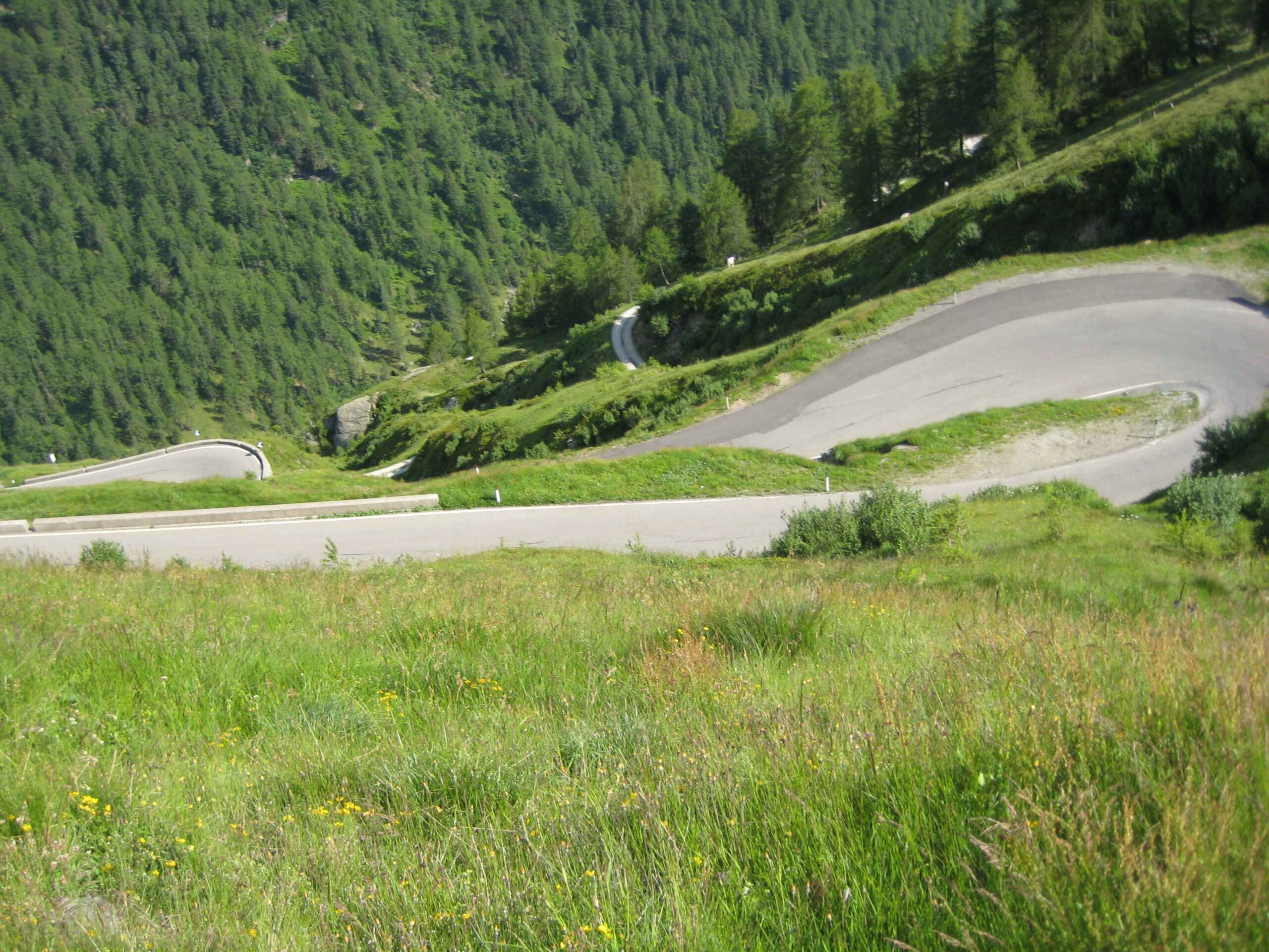 2013-Meran-Tag5 (28)