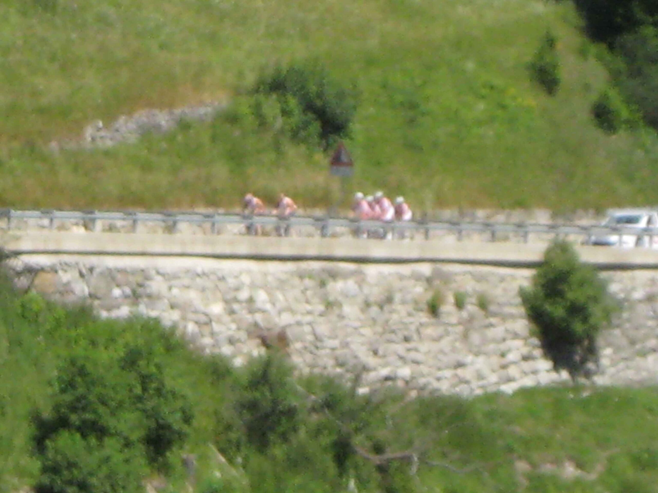 2013-Meran-Tag6 (19)