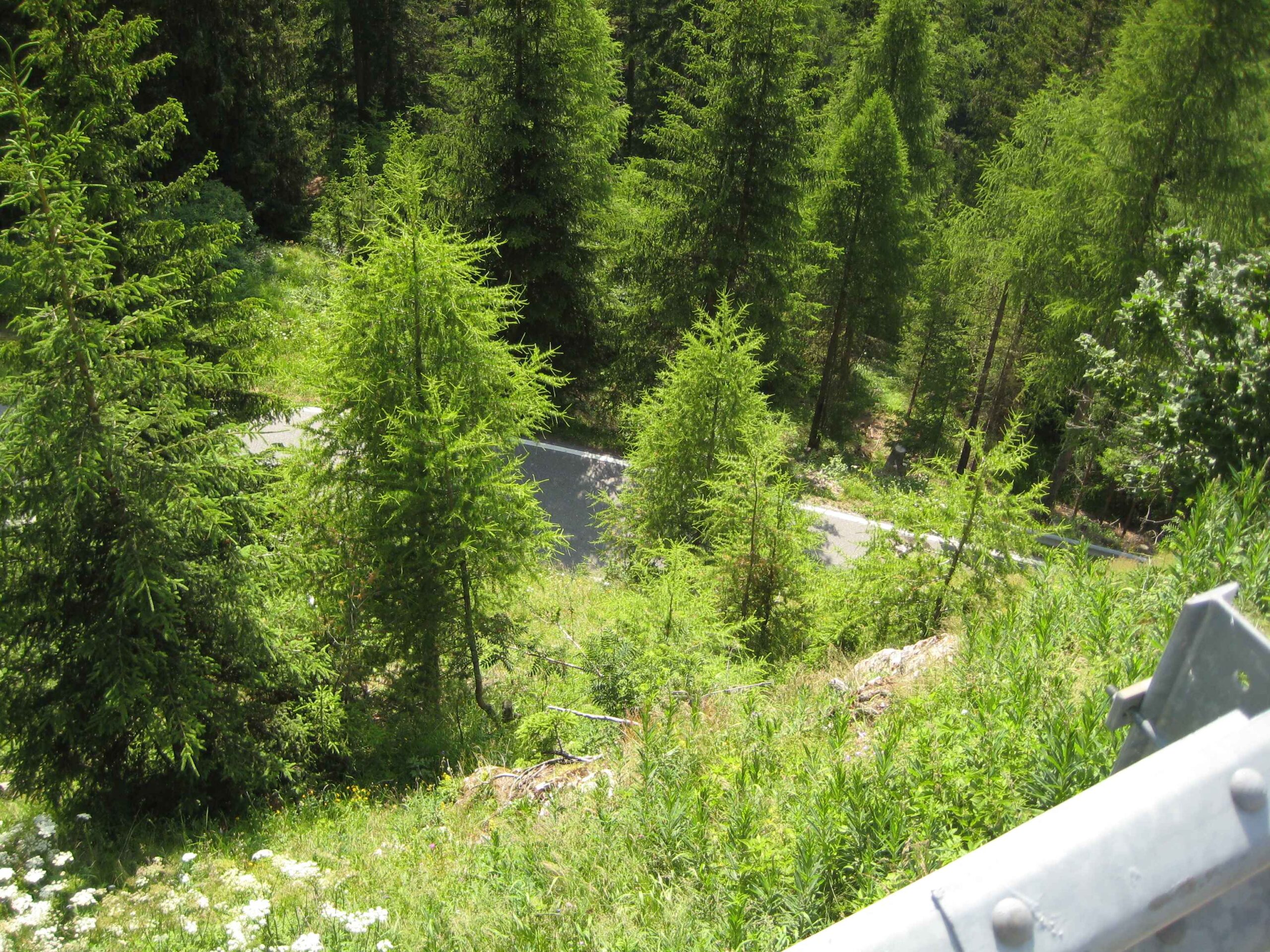 2013-Meran-Tag6 (74)