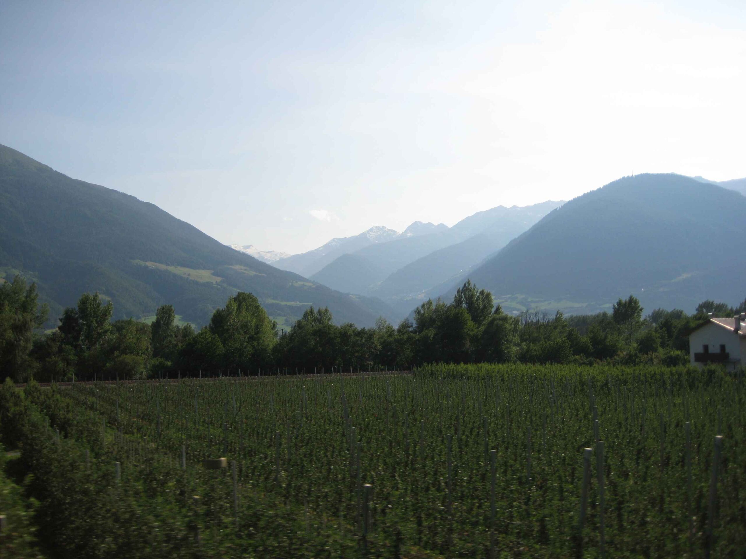 2013-Meran-Tag6 (87)