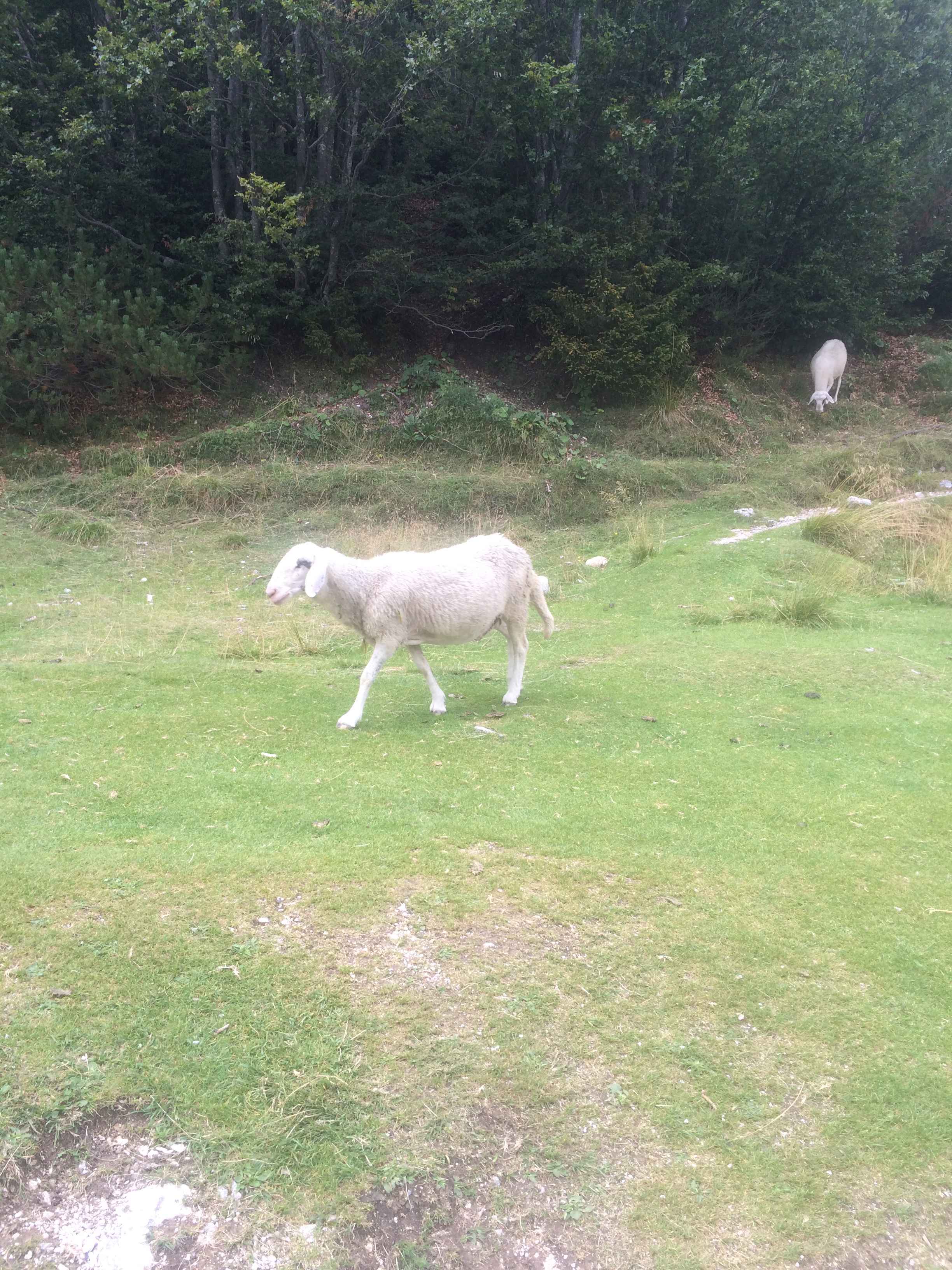 2015-Slowenien-Tag2 (4)