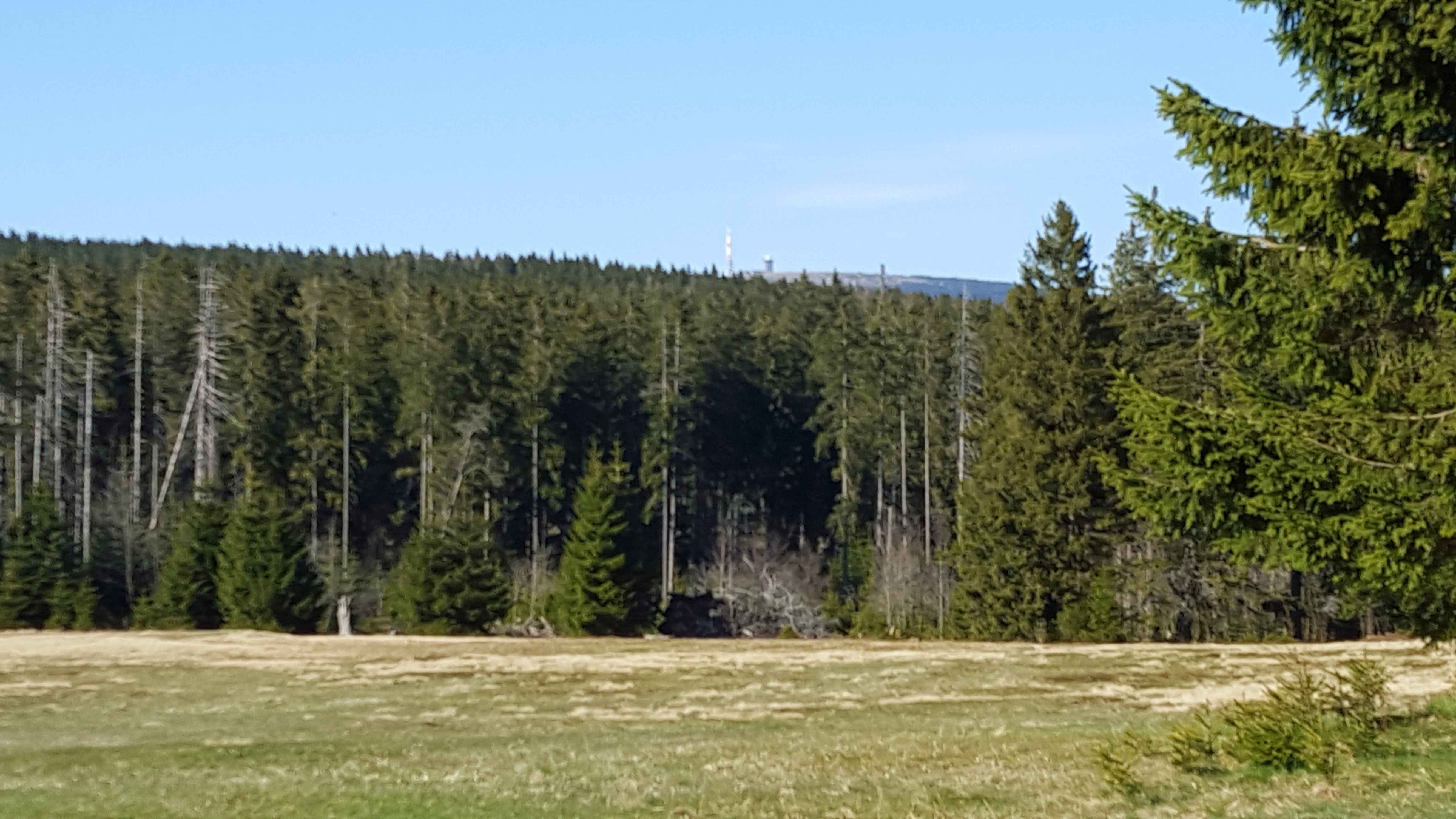 2016-Harz1-Tag2 (24)