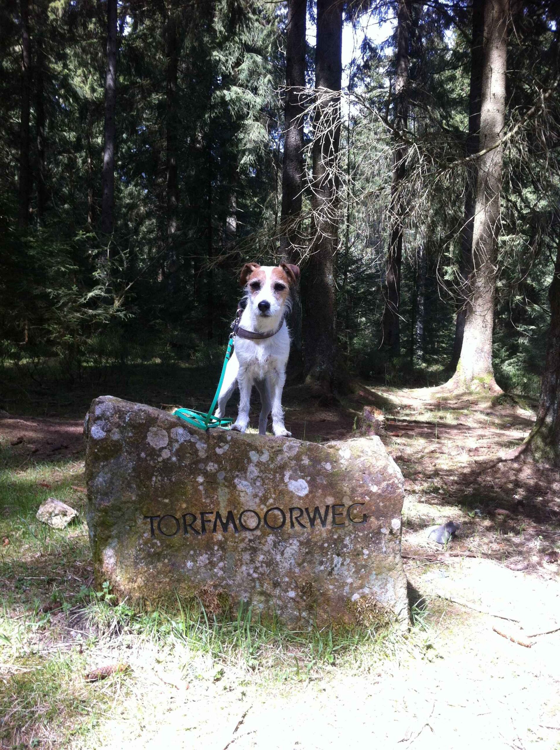 2016-Harz1-Tag2 (29)