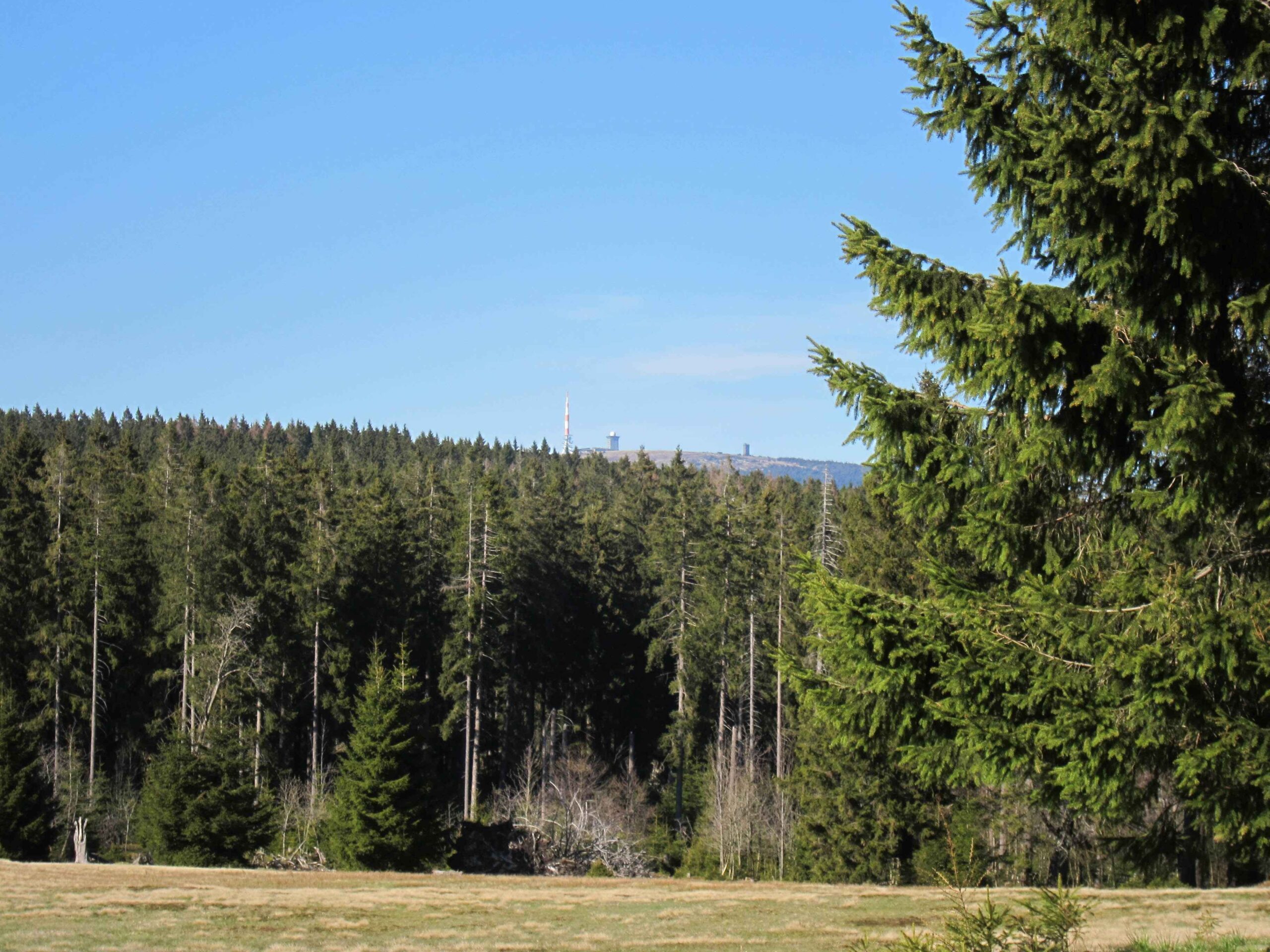 2016-Harz1-Tag2 (52)