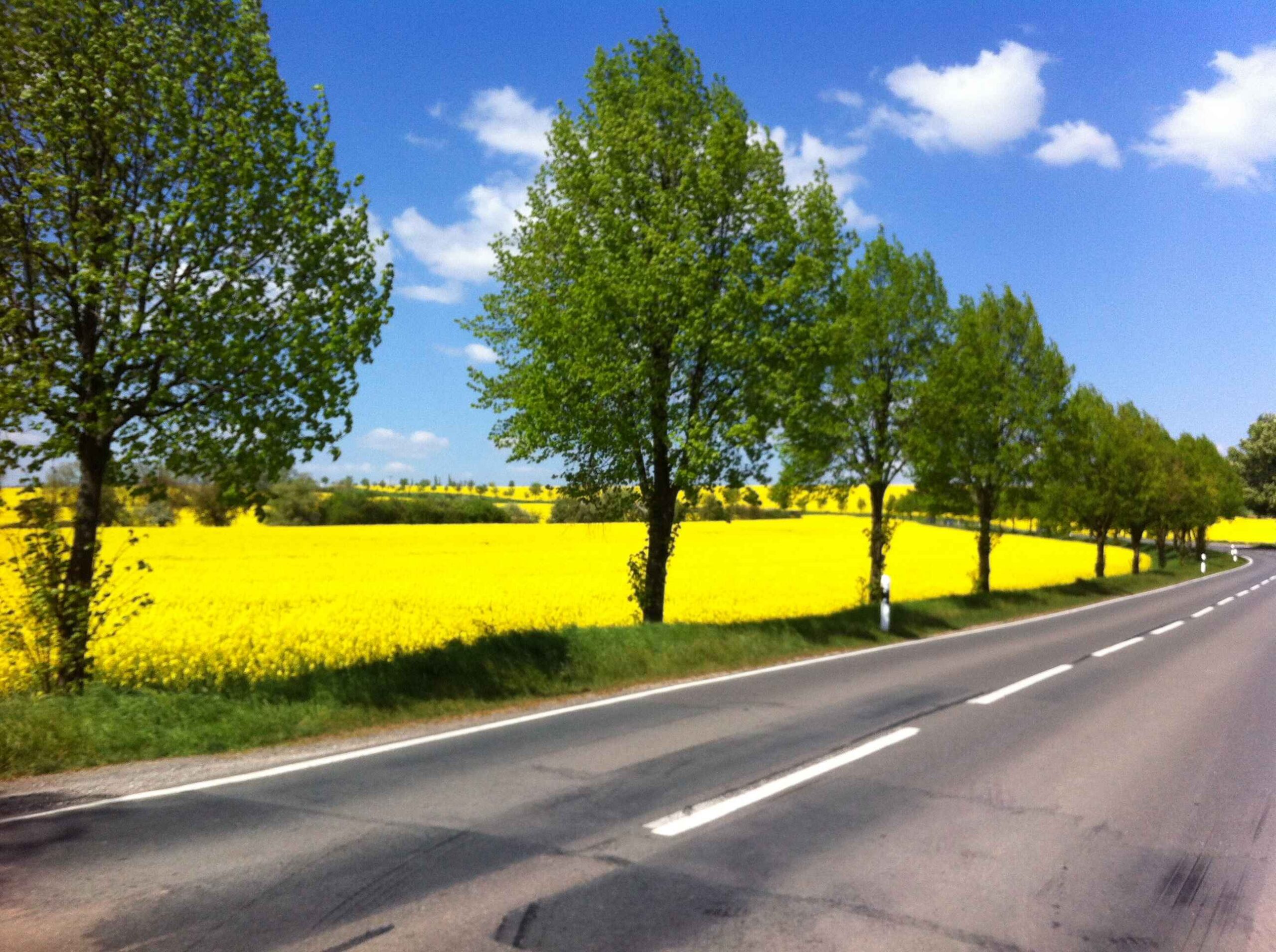 2016-Harz1-Tag3 (15)