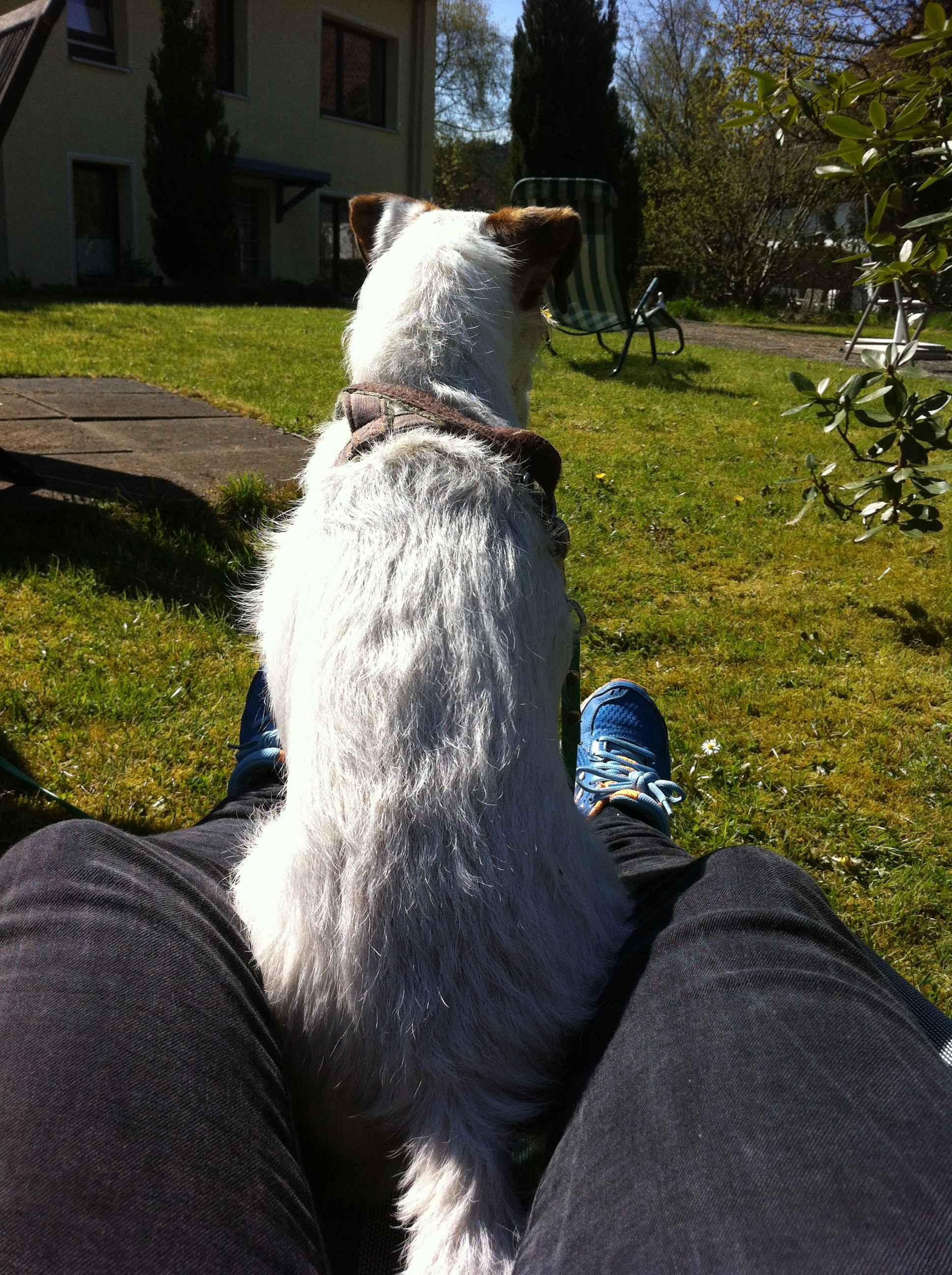 2016-Harz1-Tag3 (17)