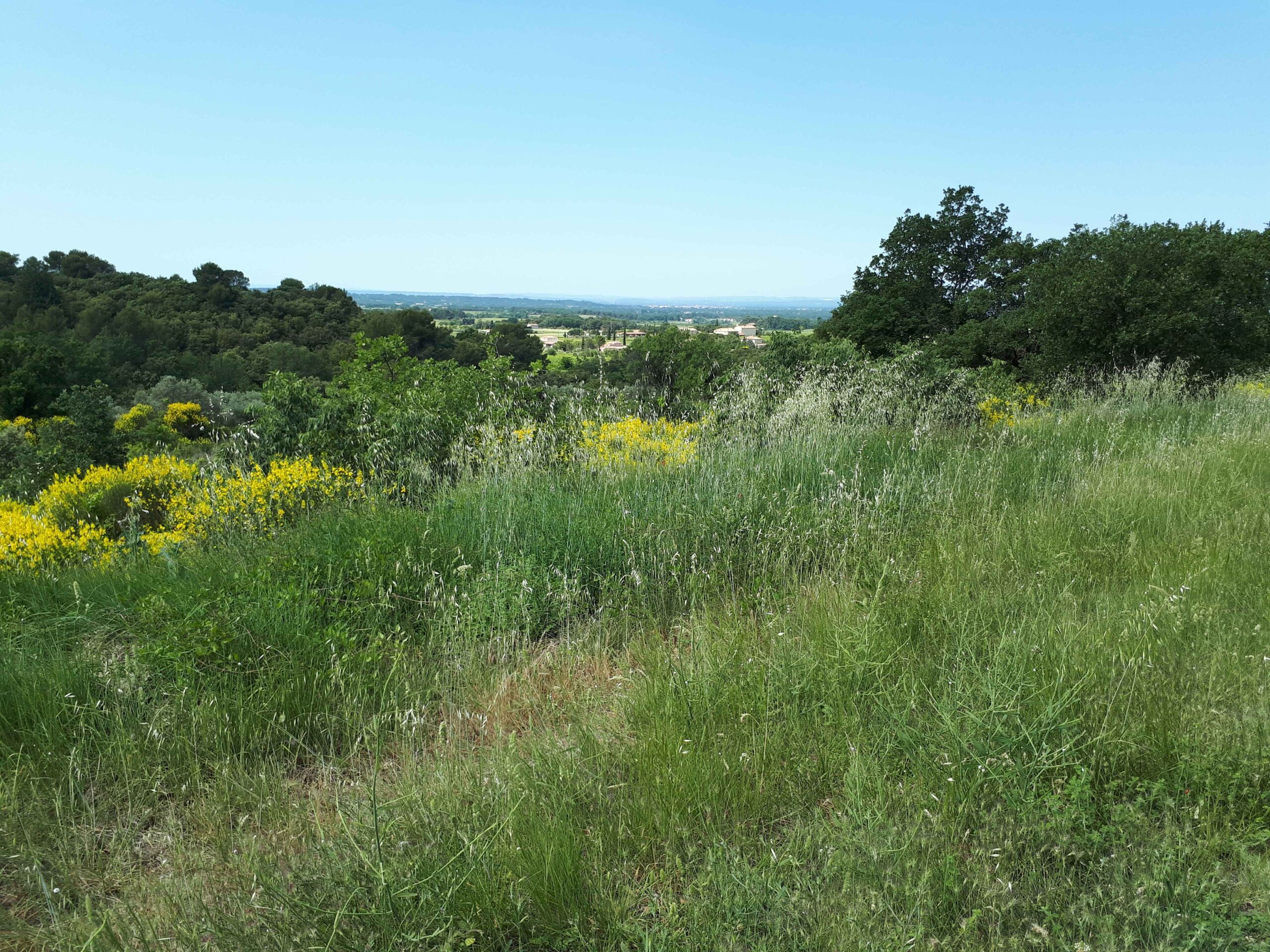 2017-Ventoux-Tag1 (12)