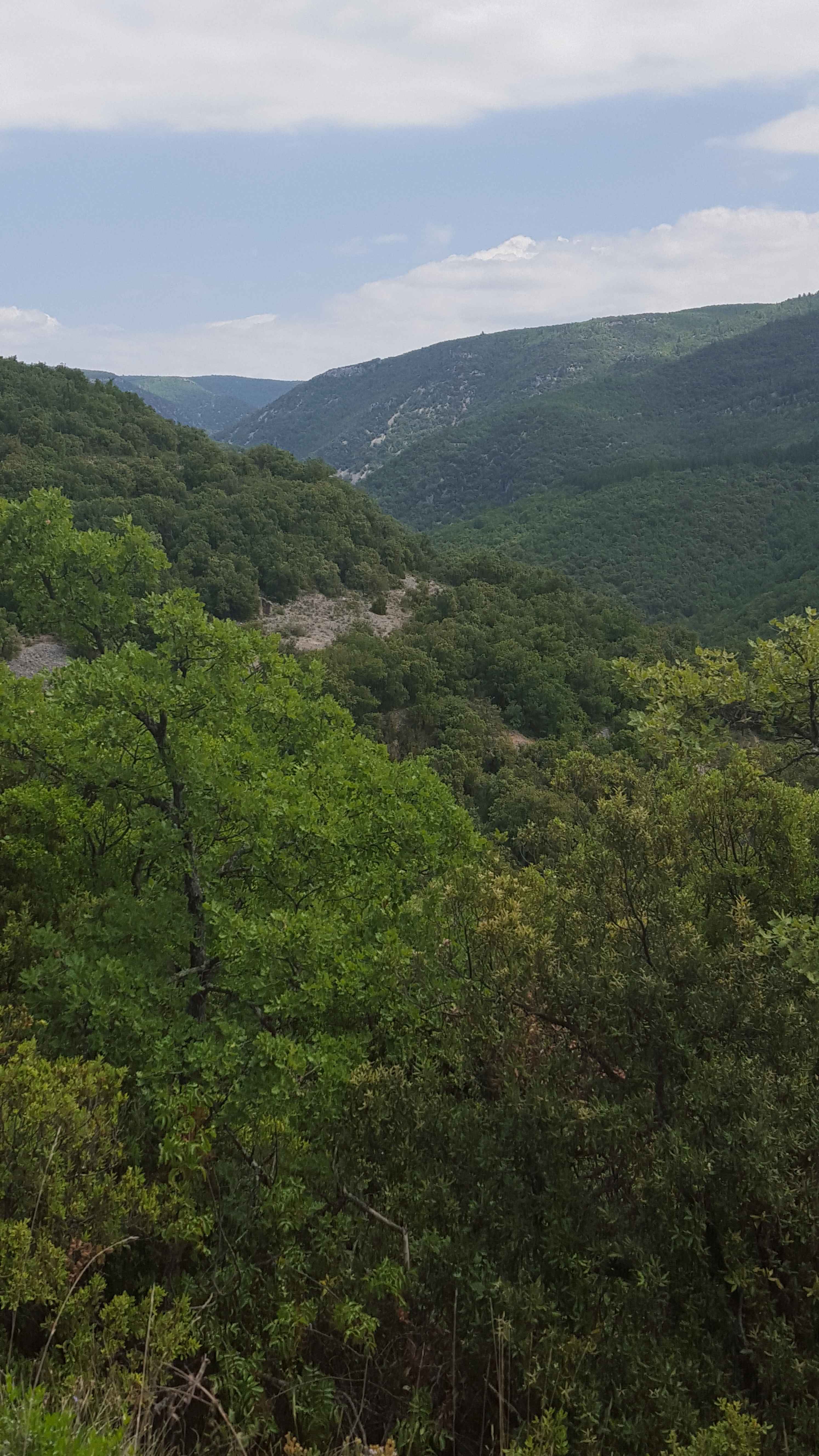 2017-Ventoux-Tag1 (19)
