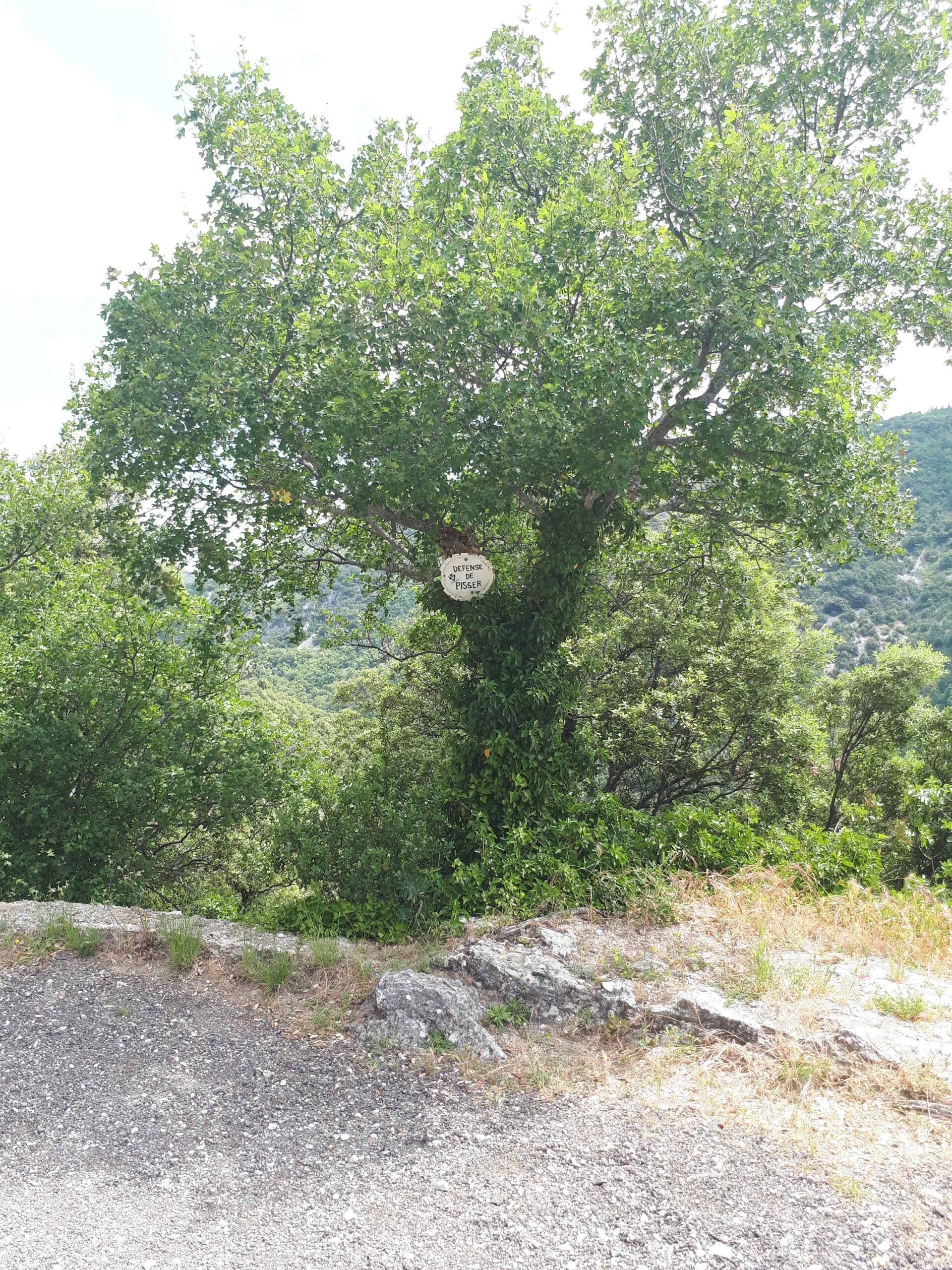 2017-Ventoux-Tag1 (21)