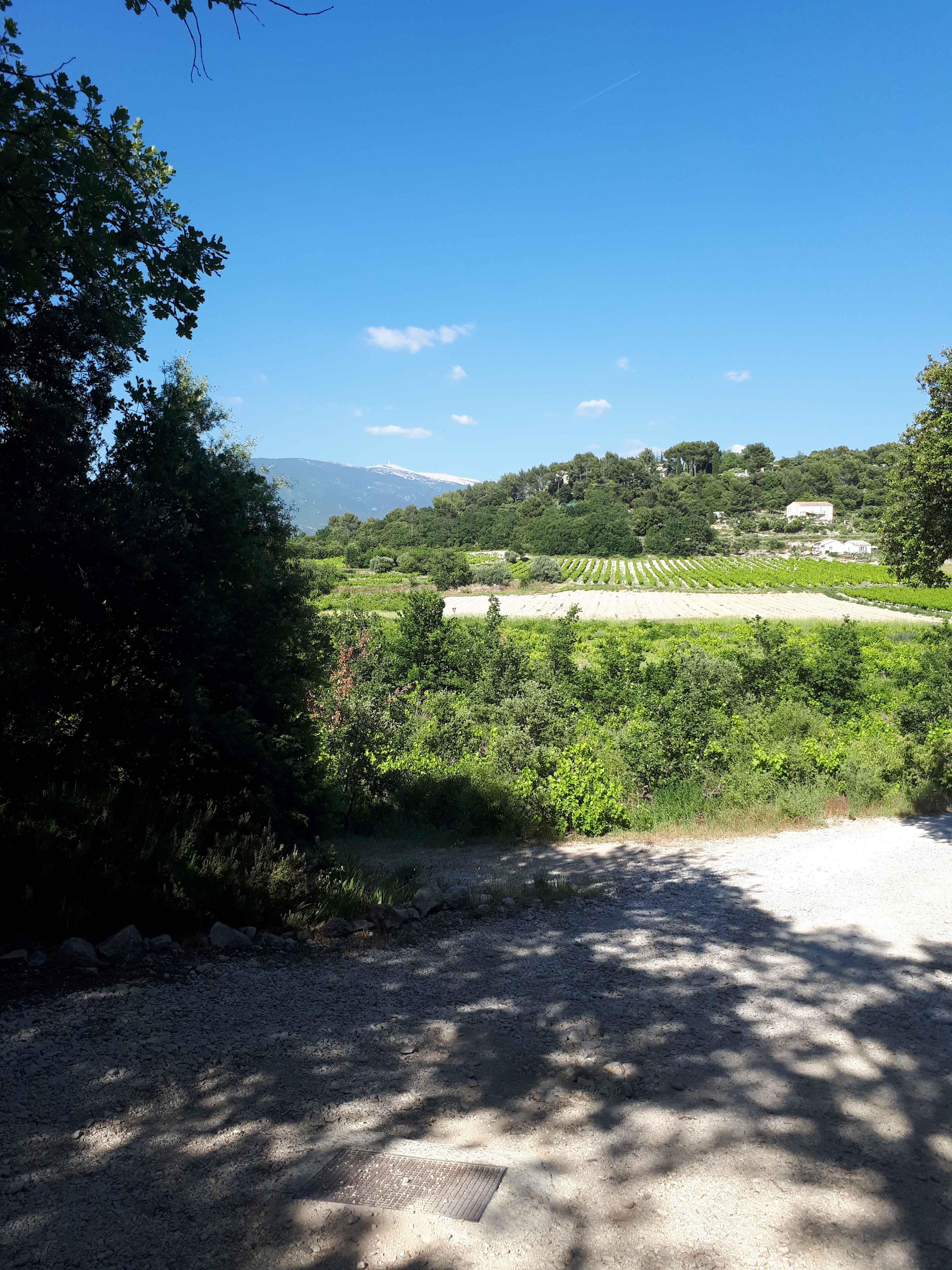 2017-Ventoux-Tag1 (38)