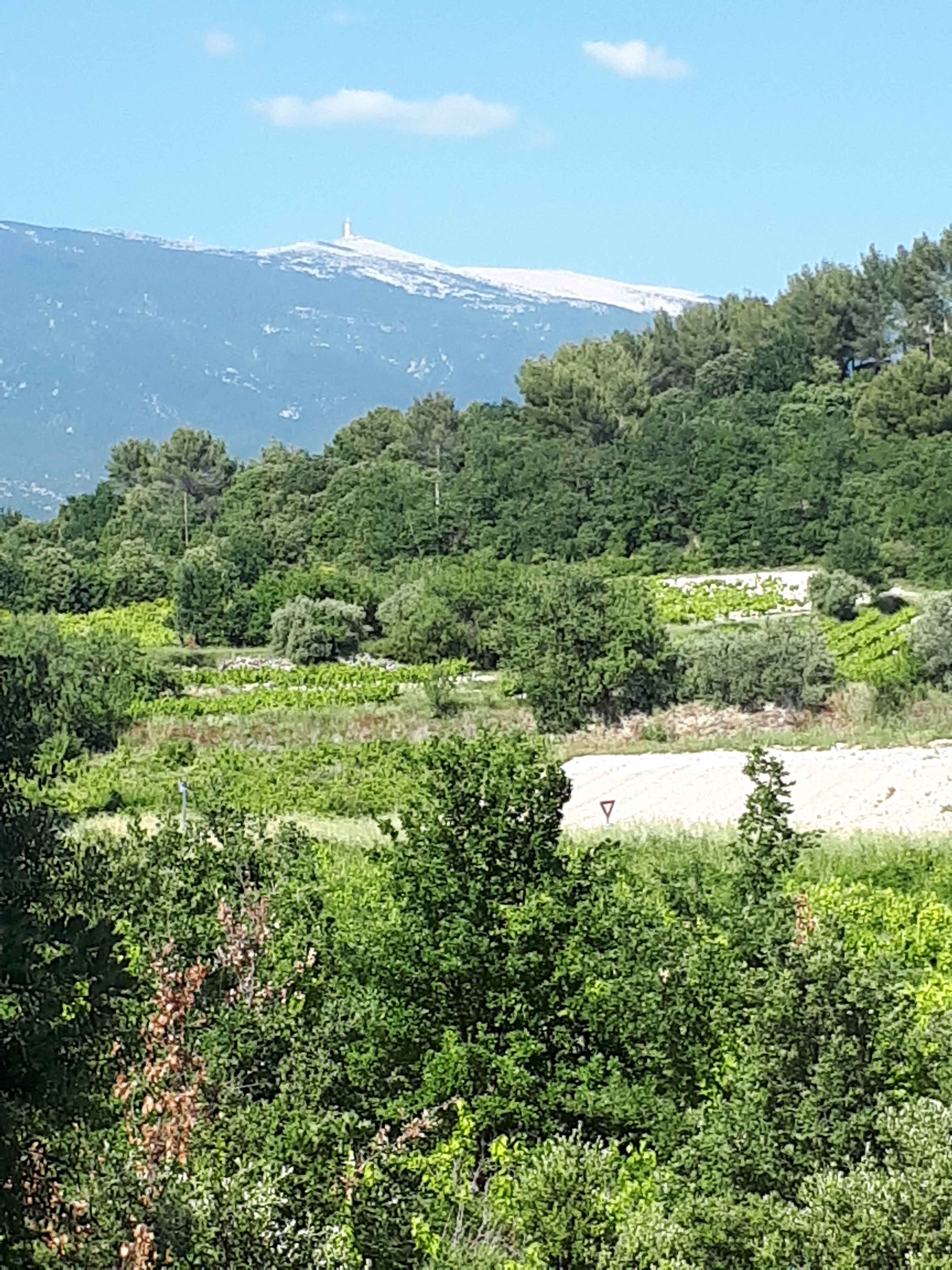 2017-Ventoux-Tag1 (39)