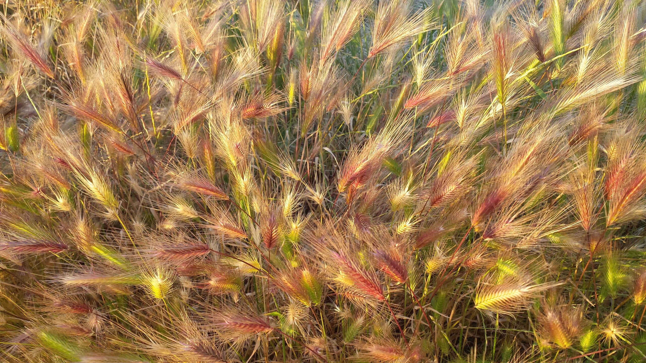 2017-Ventoux-Tag1 (41)