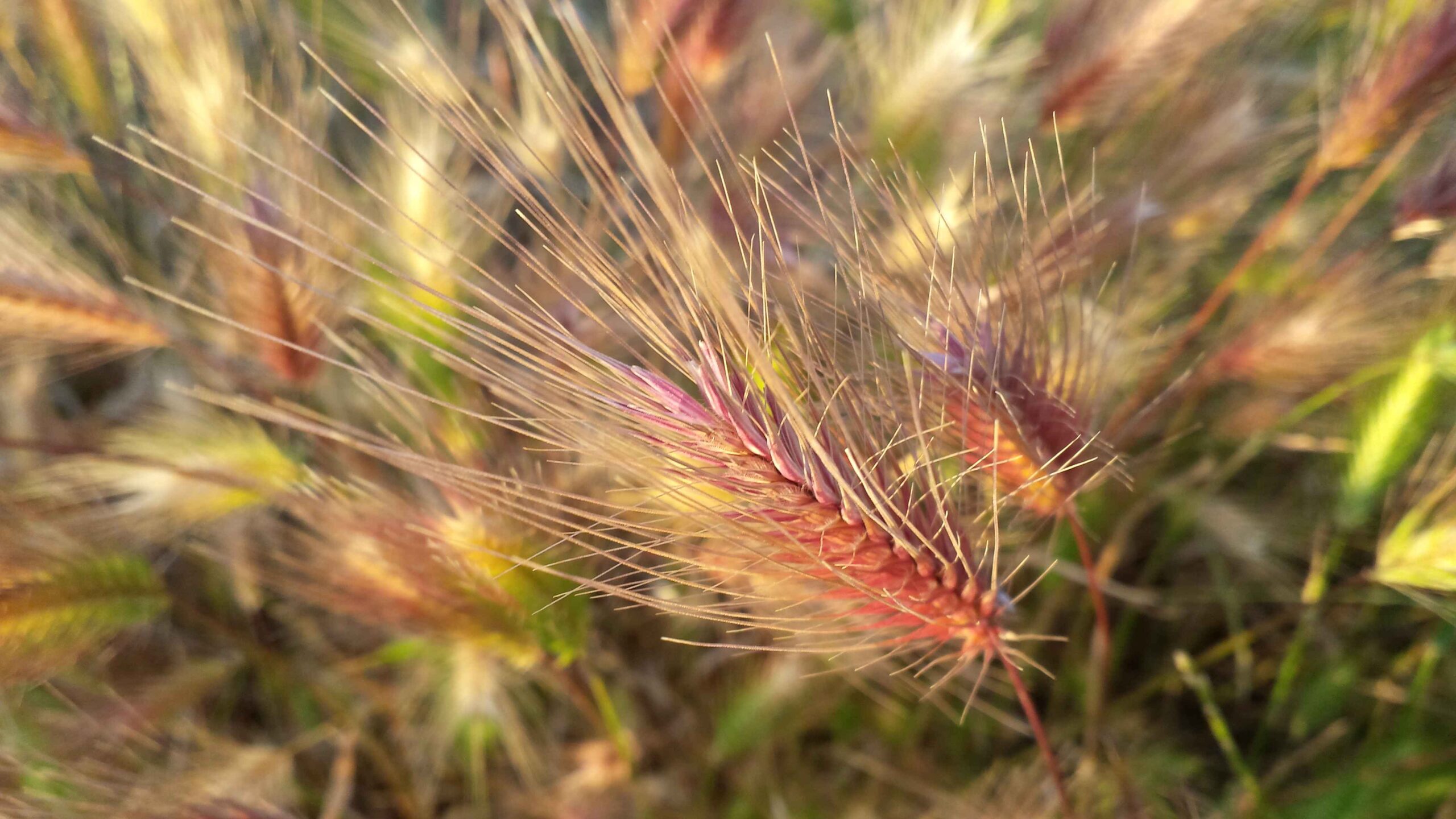 2017-Ventoux-Tag1 (42)