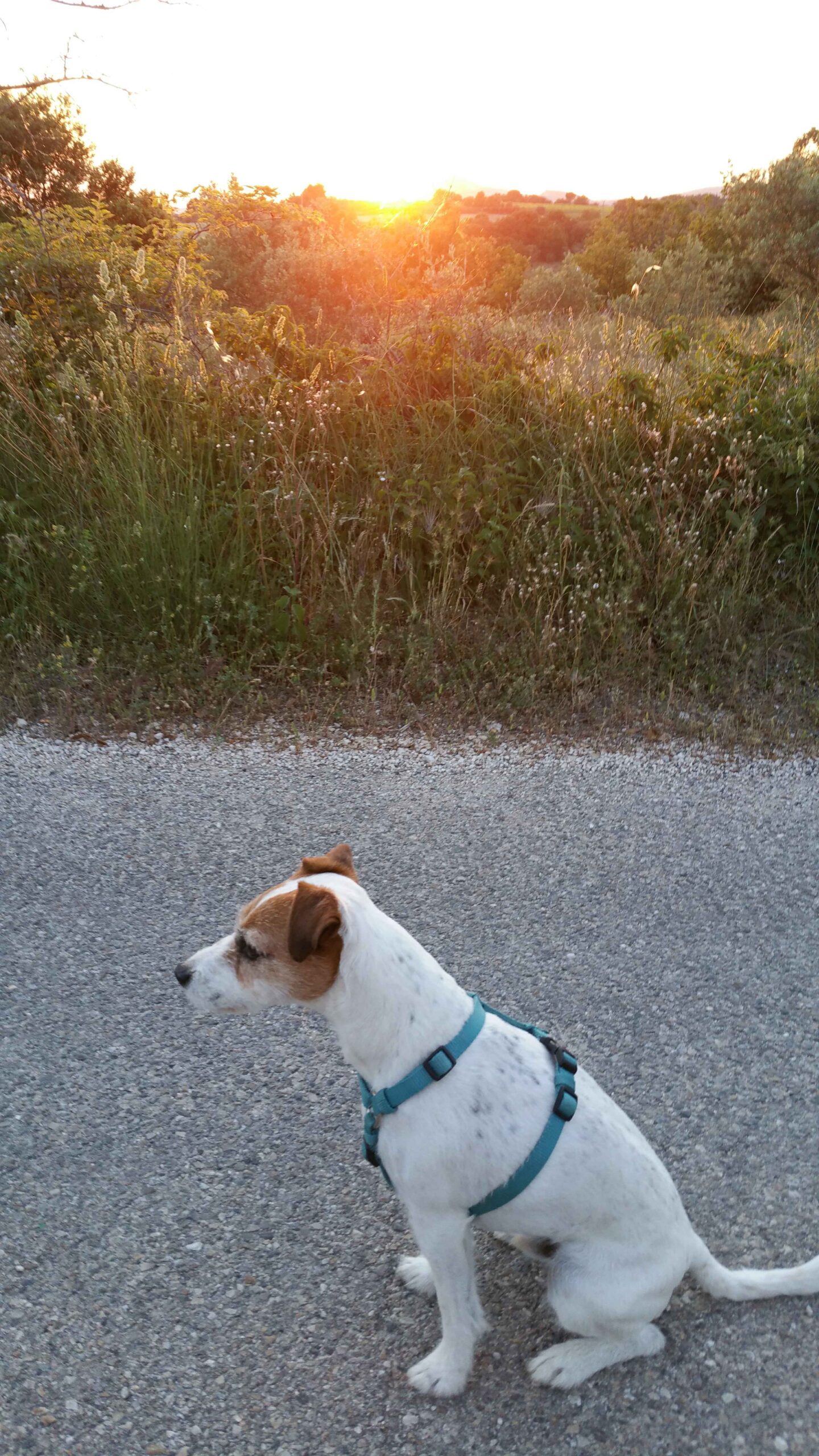 2017-Ventoux-Tag1 (43)