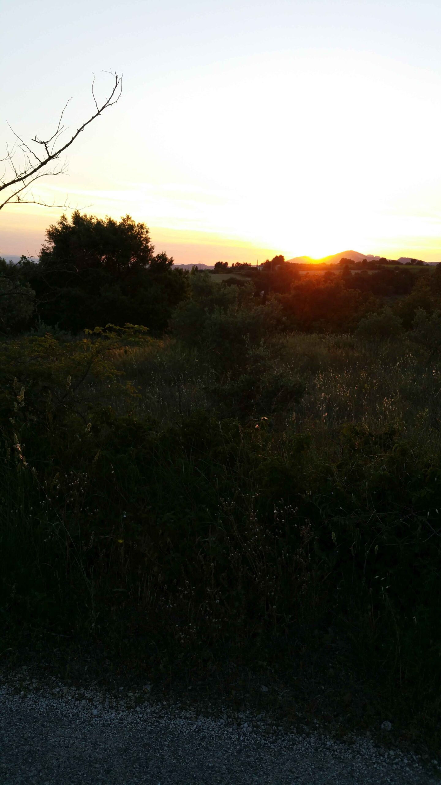 2017-Ventoux-Tag1 (44)