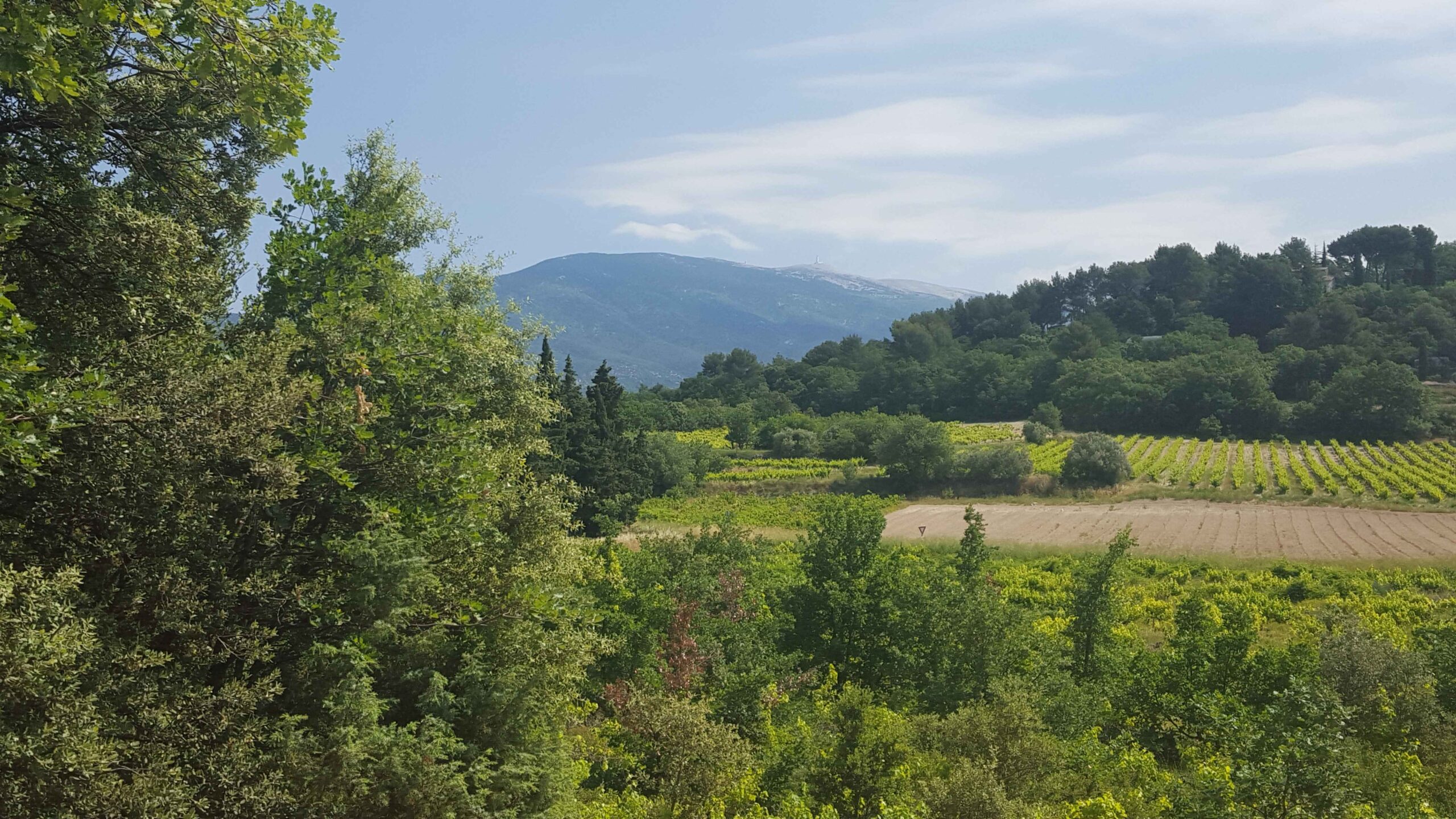 2017-Ventoux-Tag1 (8)