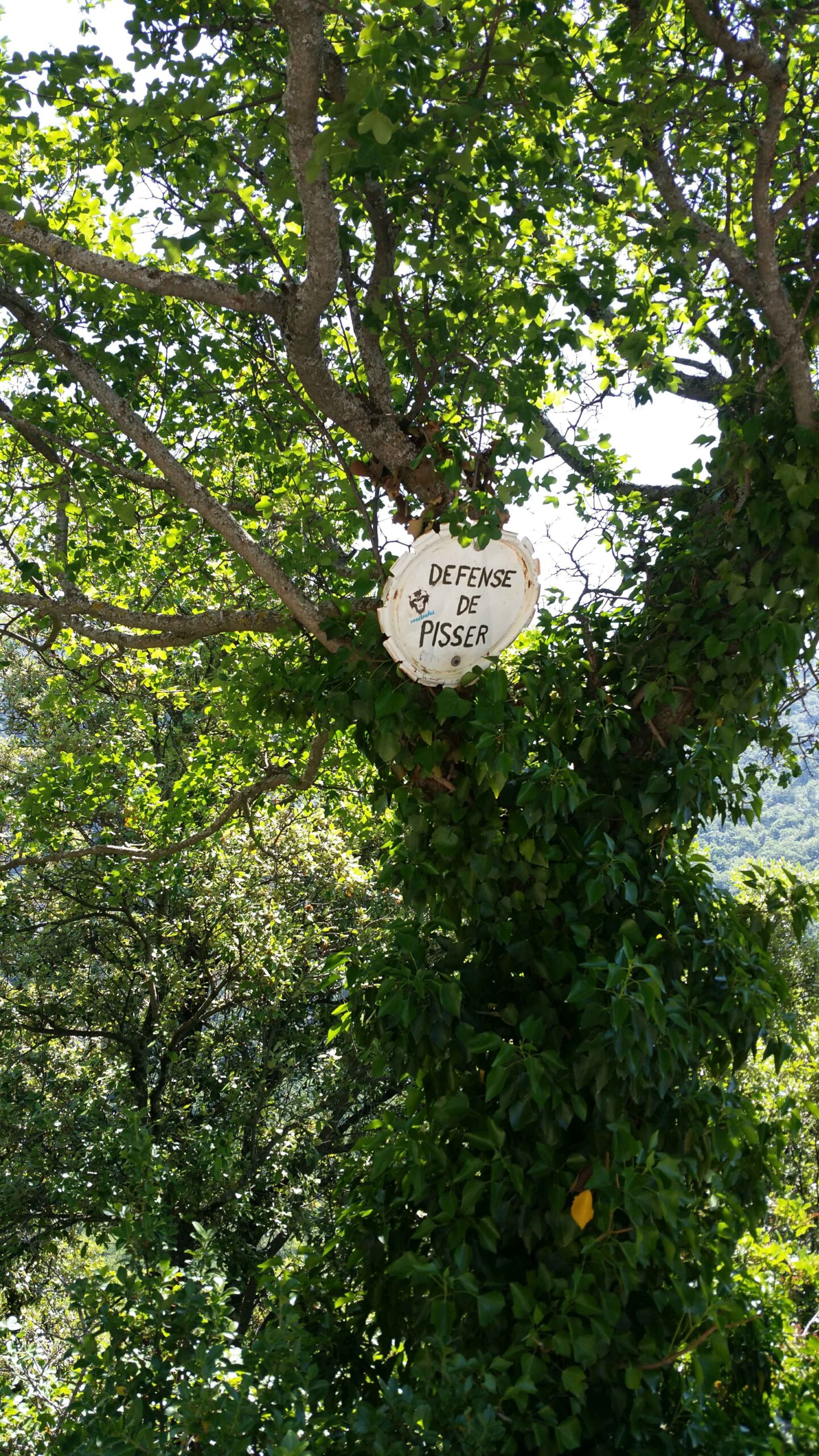 2017-Ventoux-Tag2 (5)