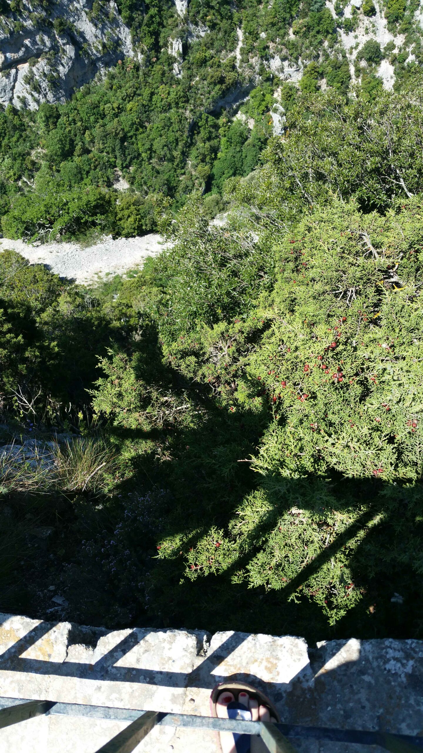 2017-Ventoux-Tag2 (8)