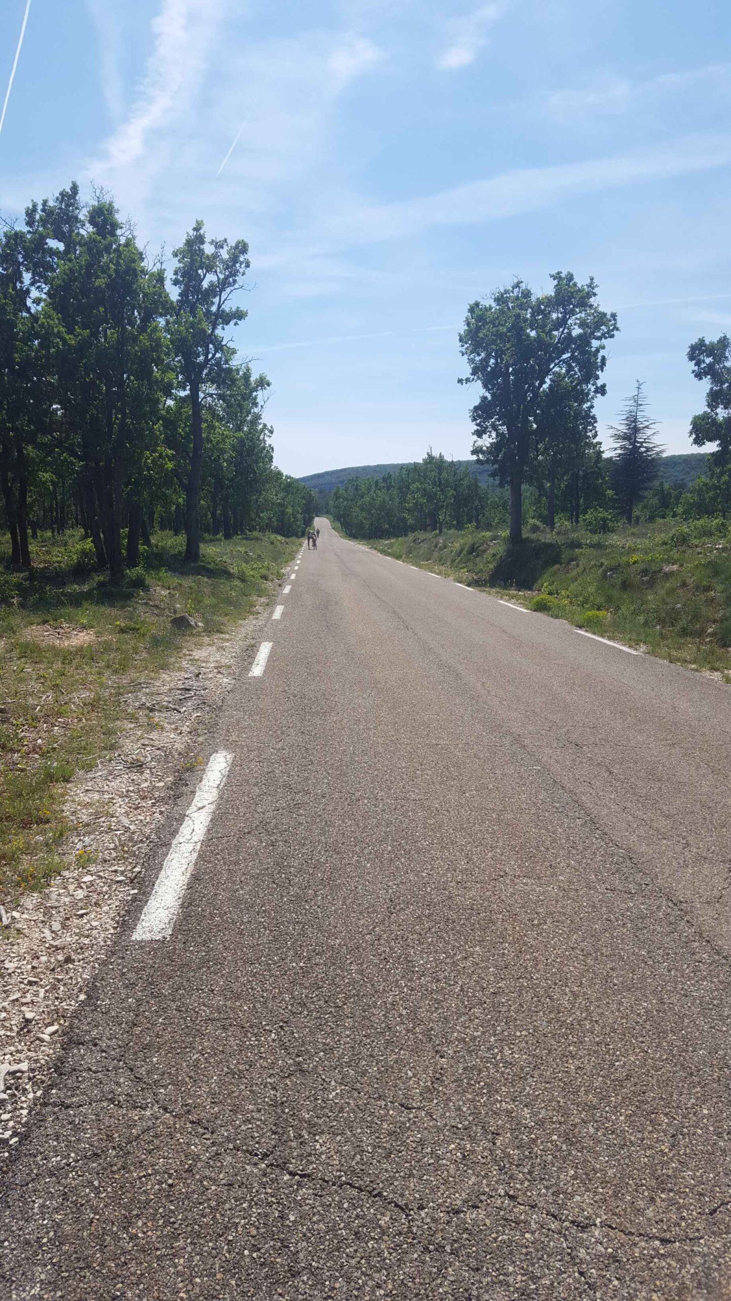 2017-Ventoux-Tag3 (16)