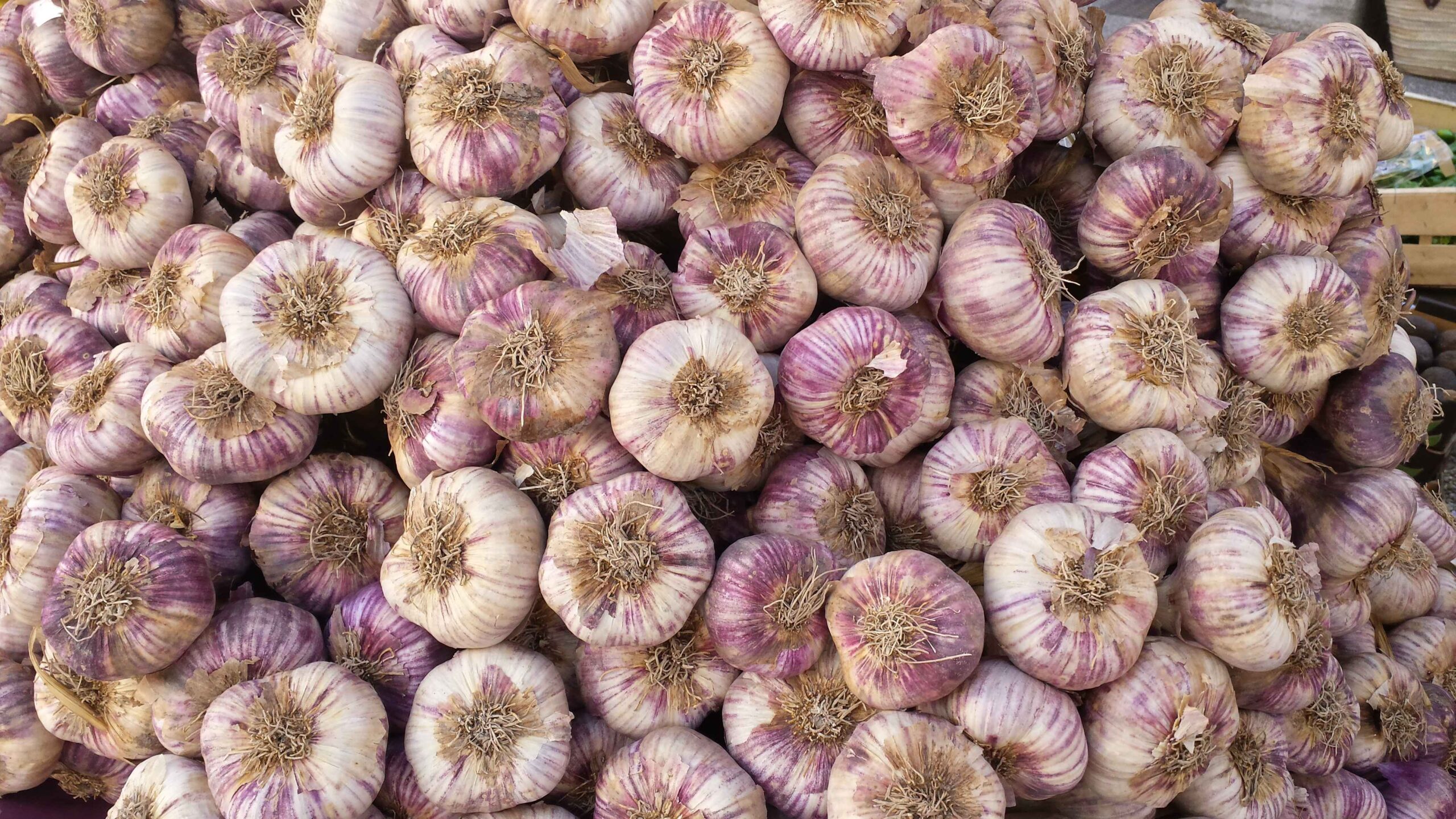 2017-Ventoux-Tag3 (2)