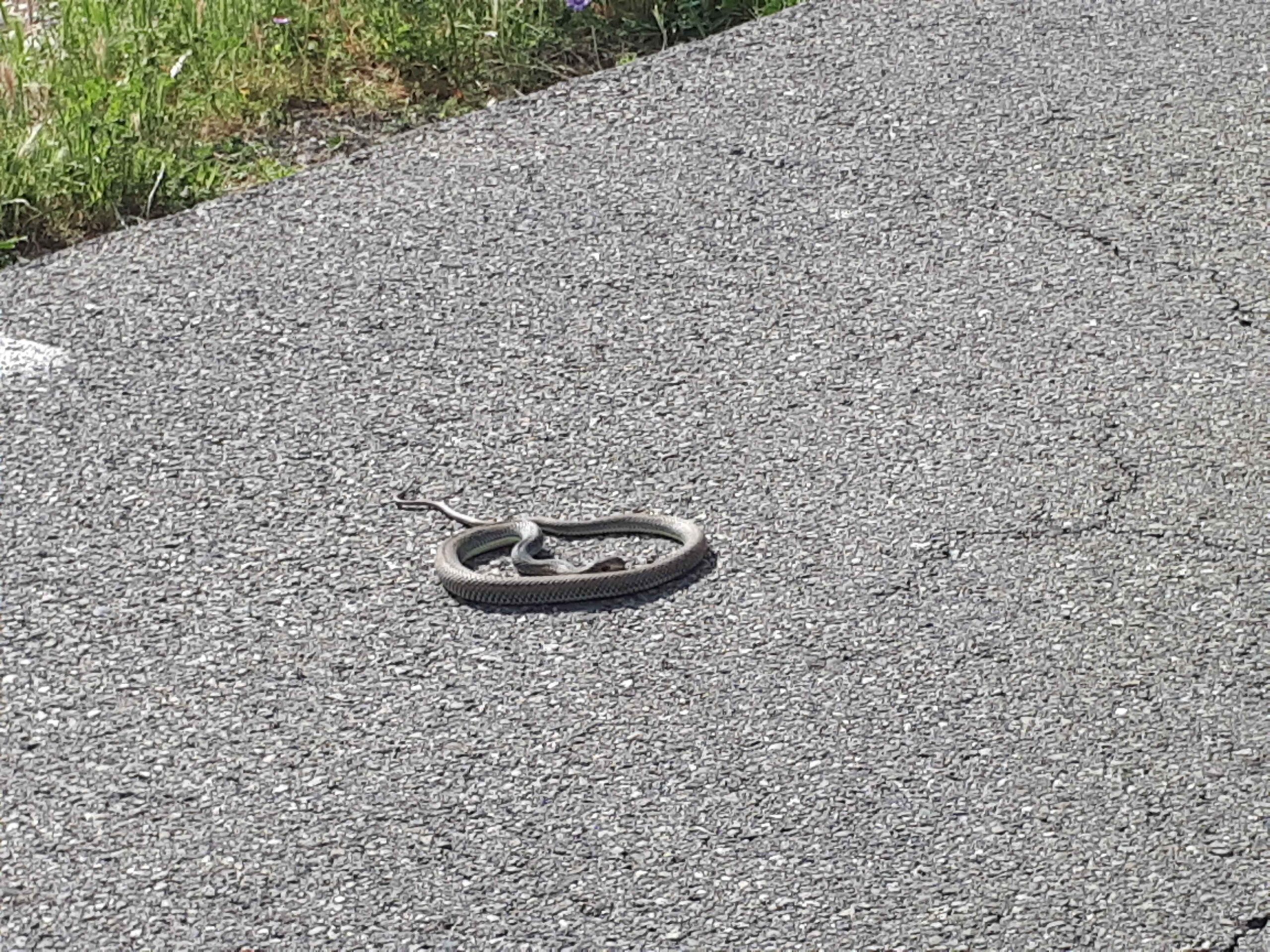 2017-Ventoux-Tag3 (30)