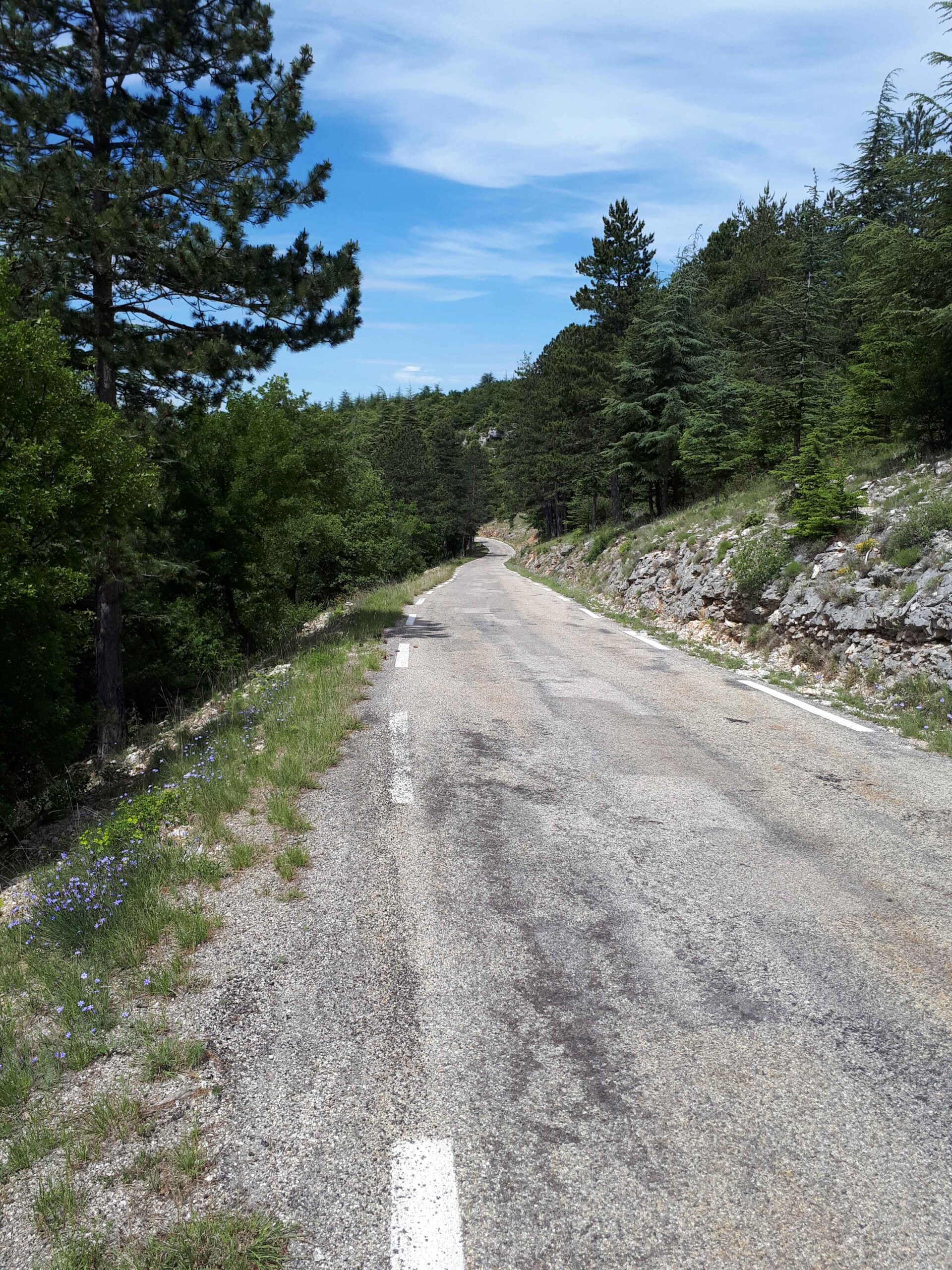 2017-Ventoux-Tag4 (11)