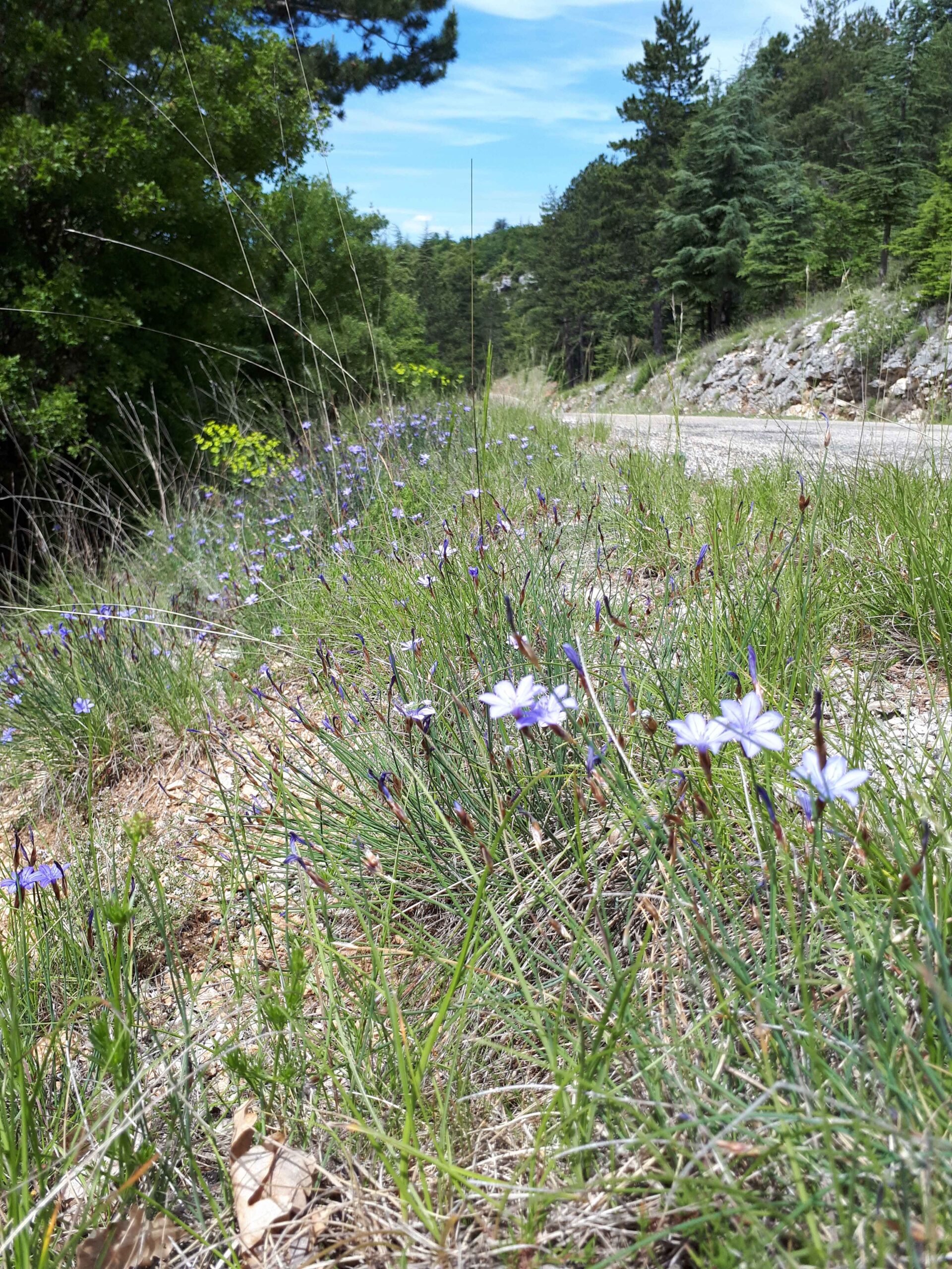 2017-Ventoux-Tag4 (12)