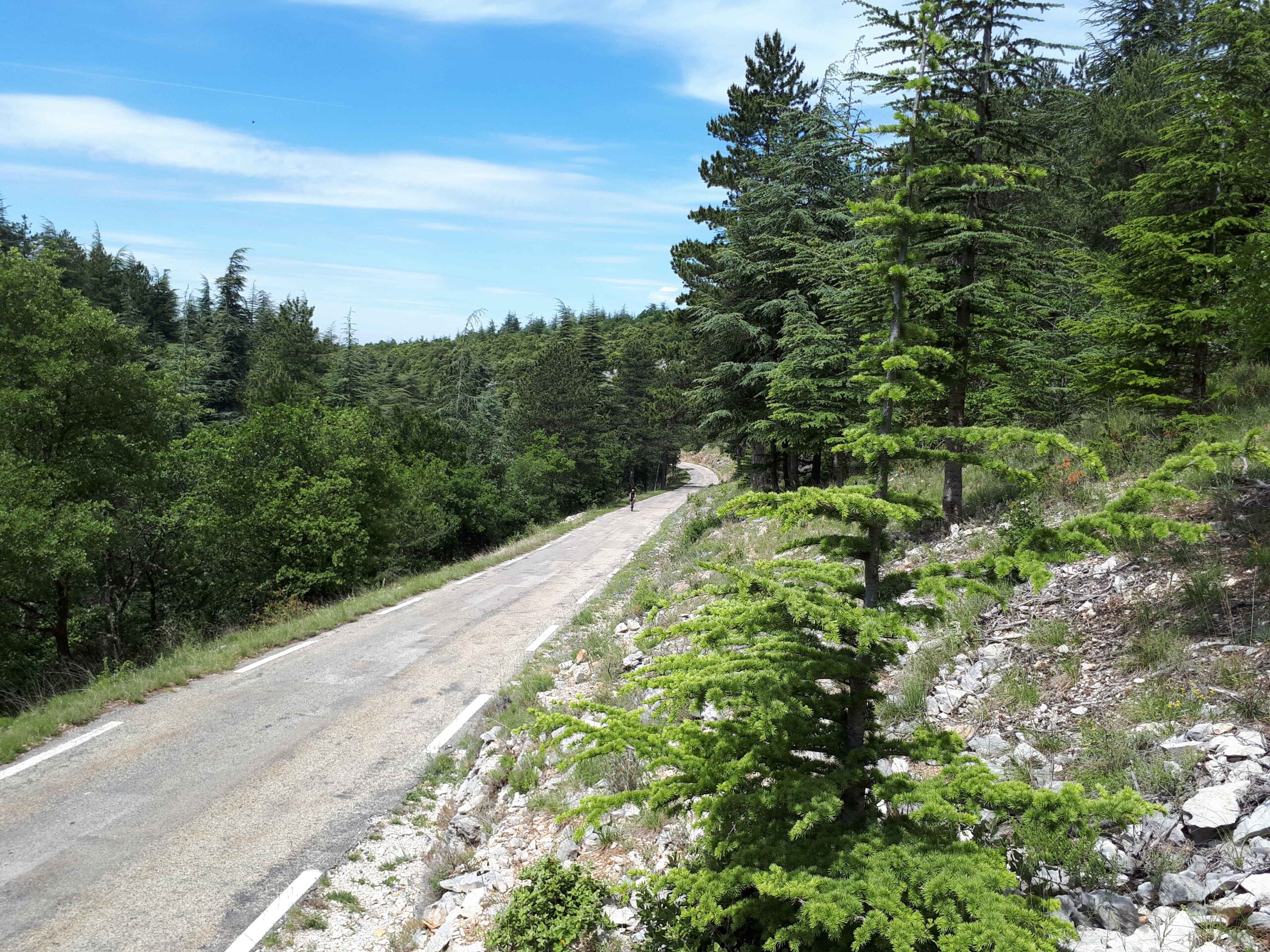 2017-Ventoux-Tag4 (13)
