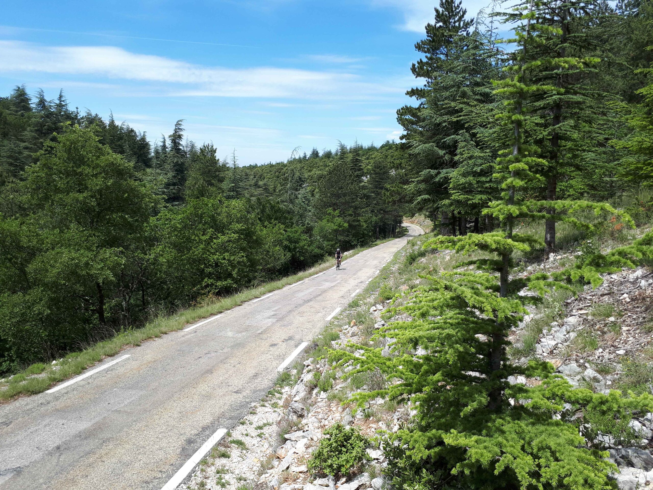 2017-Ventoux-Tag4 (14)