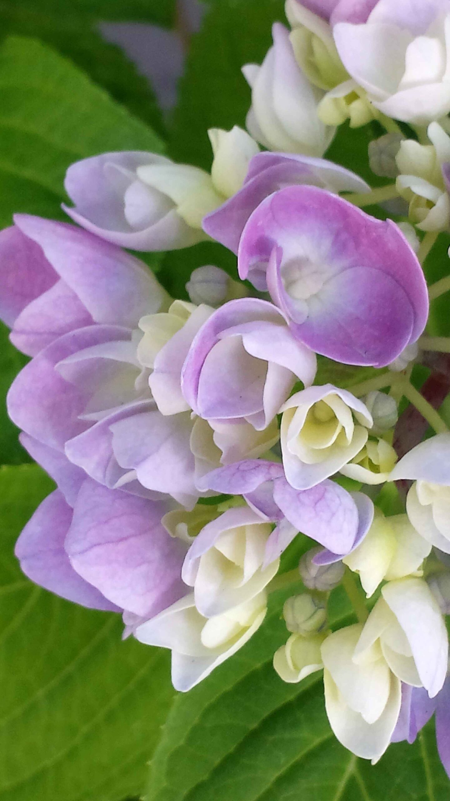 2017-Ventoux-Tag6 (10)