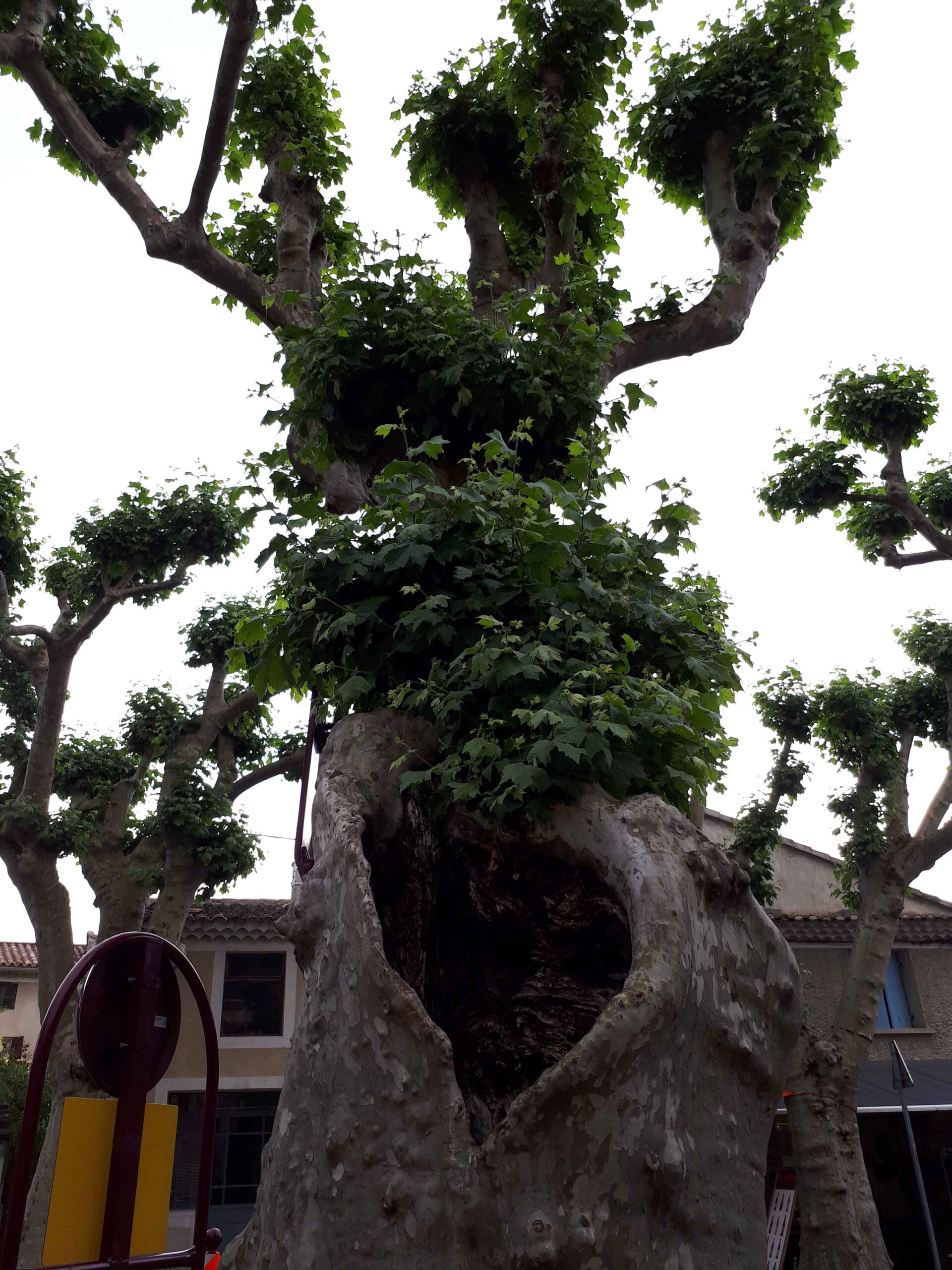 2017-Ventoux-Tag6 (32)