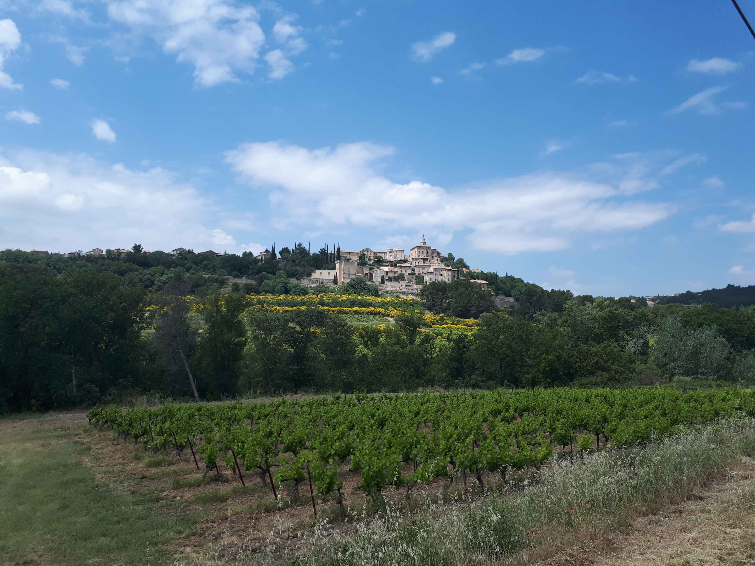 2017-Ventoux-Tag6 (6)