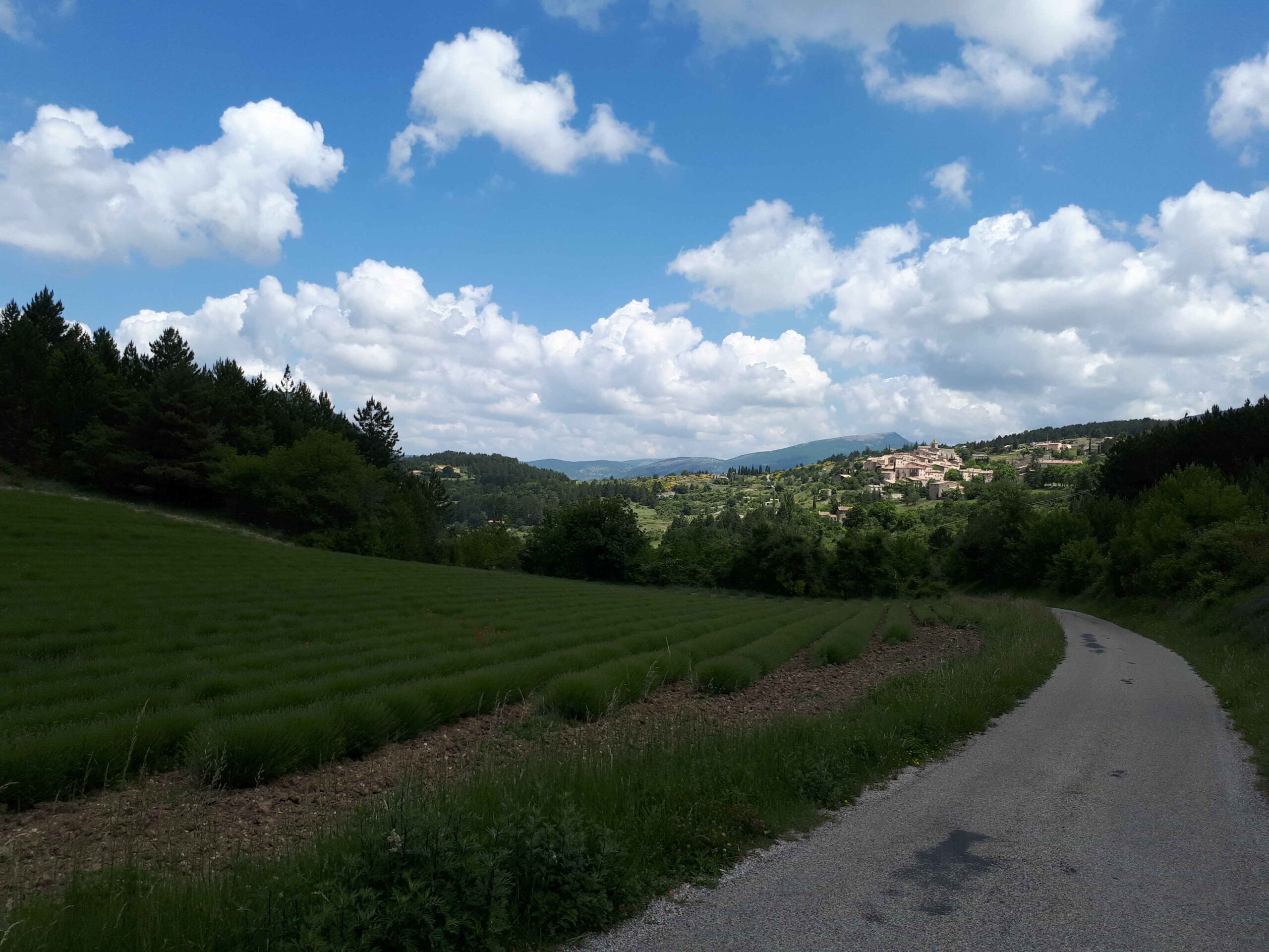 2017-Ventoux-Tag7 (11)