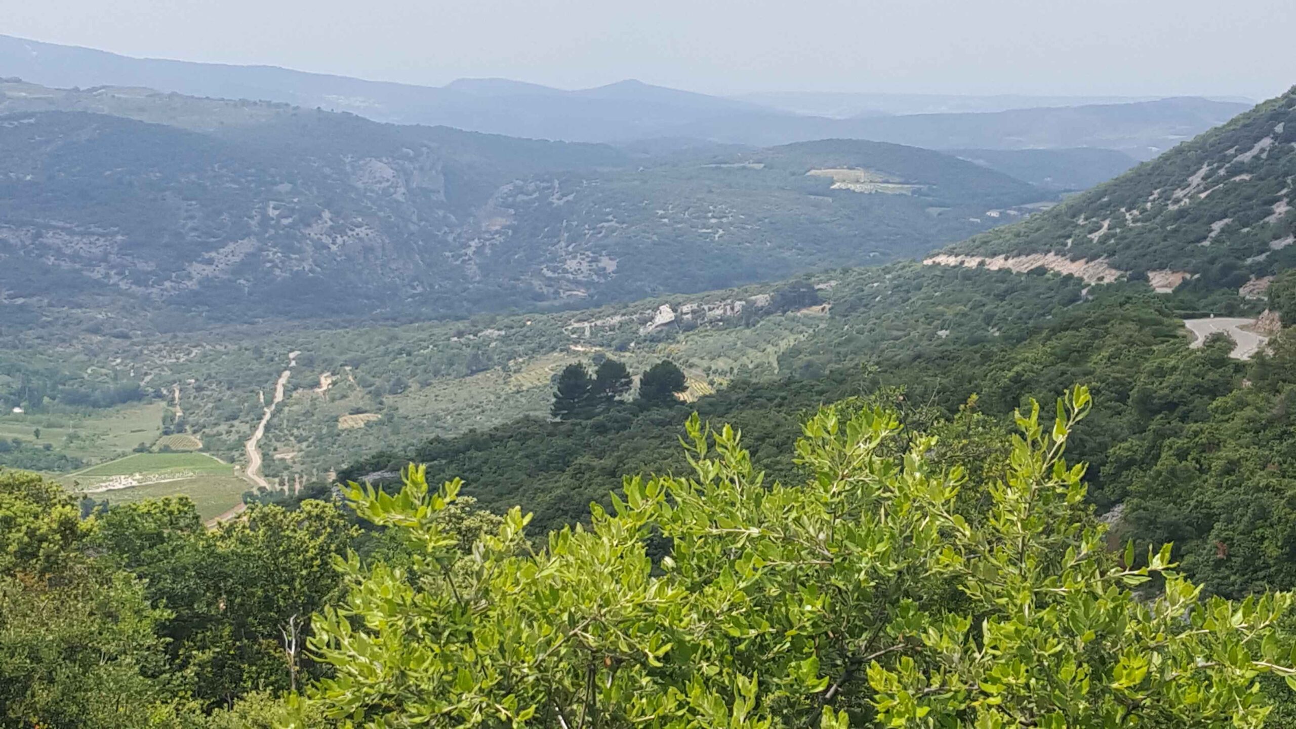 2017-Ventoux-Tag7 (17)