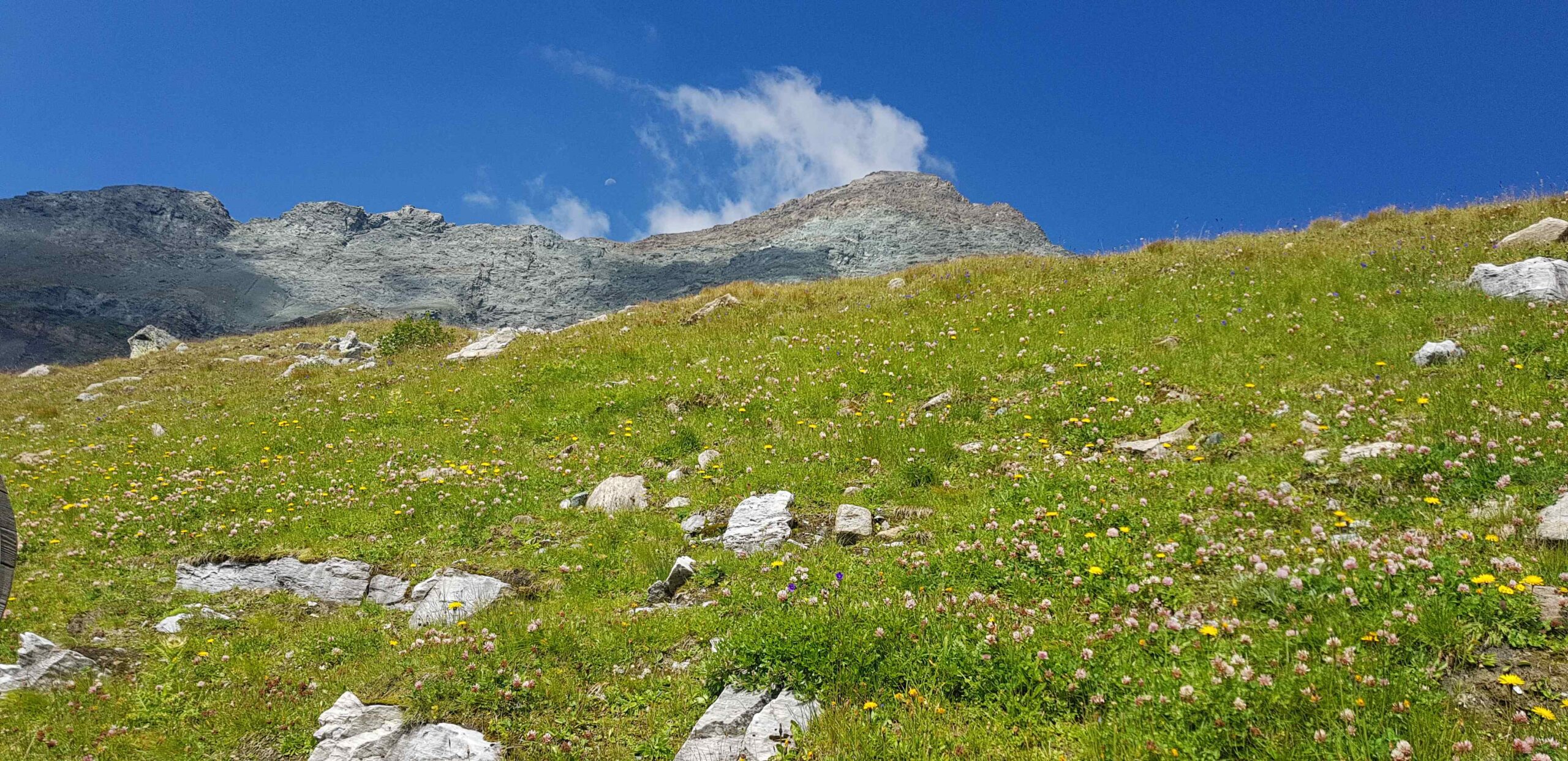 2018-Großglockner (17)