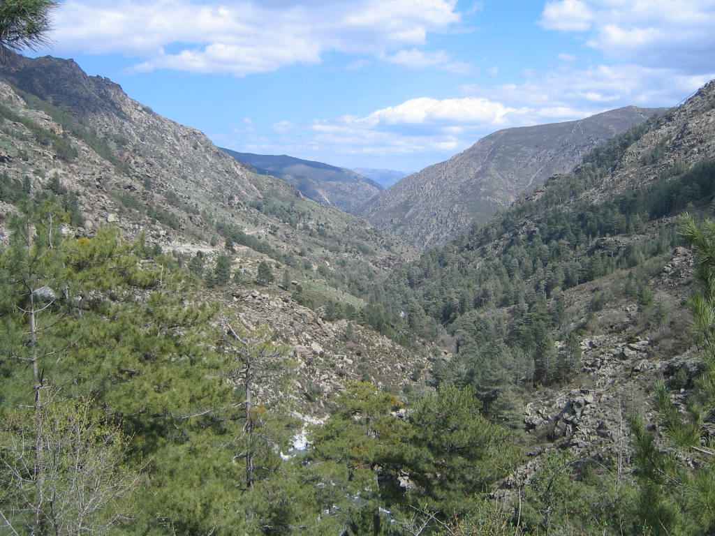 2006-Korsika-Tag3 (10)