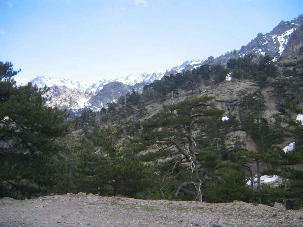 2006-Korsika-Tag3 (4)