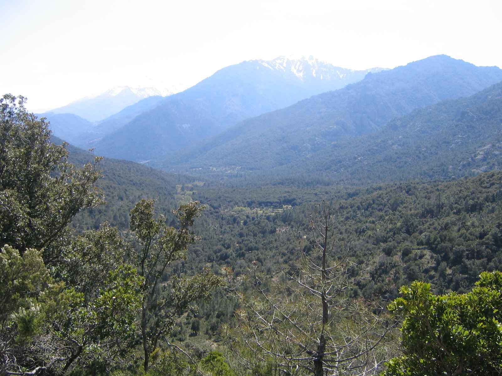 2006-Korsika-Tag4 (7)