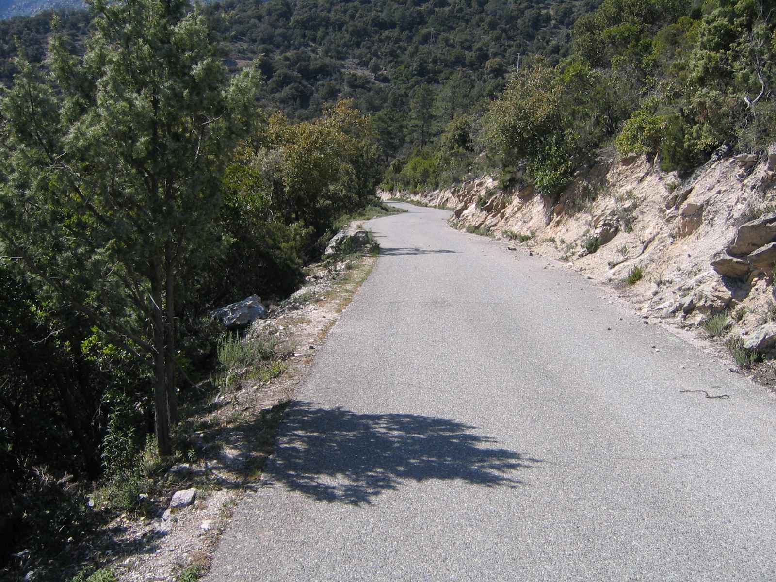 2006-Korsika-Tag4 (9)