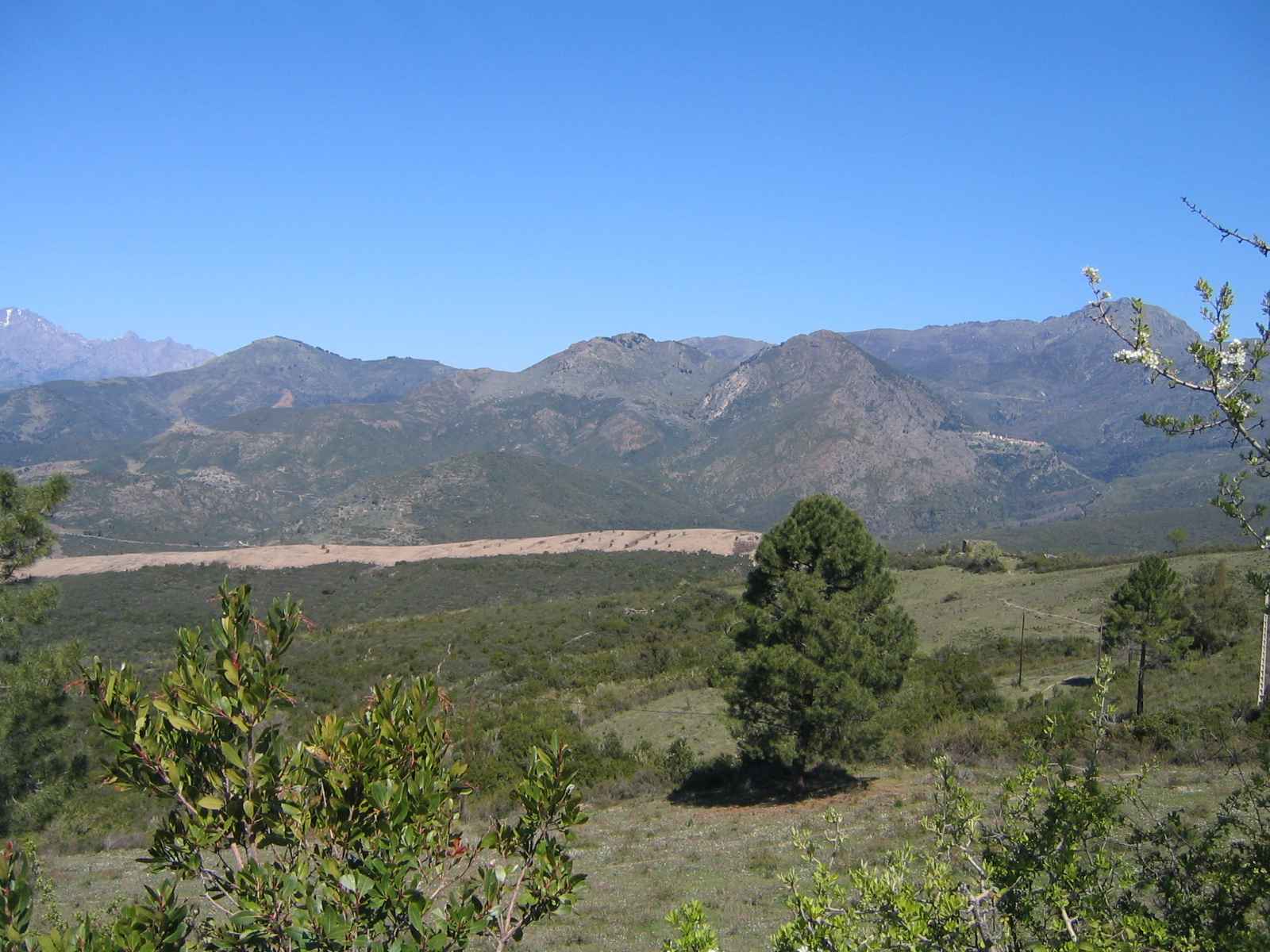 2006-Korsika-Tag5 (3)