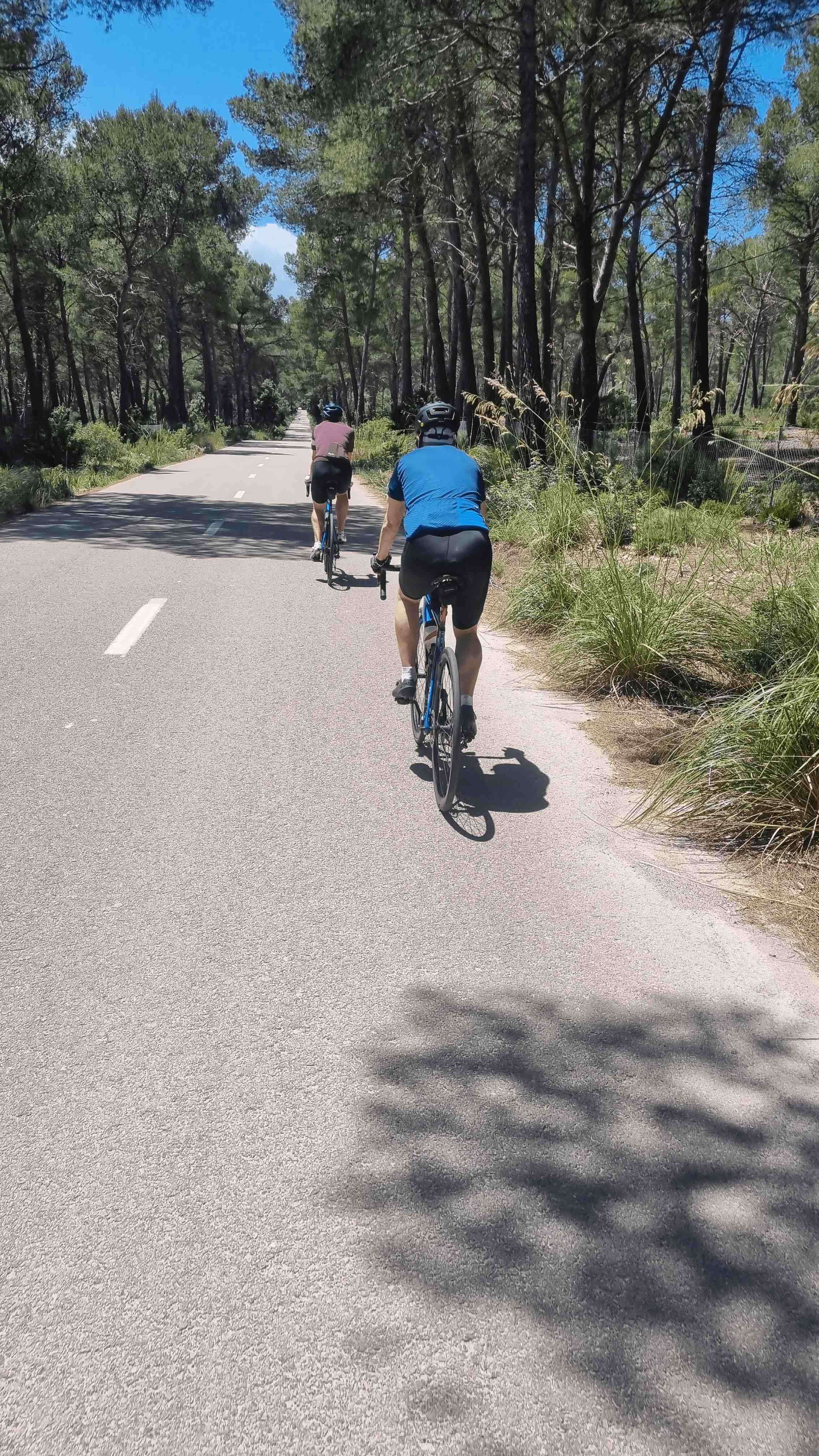 2025-Mallorca-Tag1 (22)