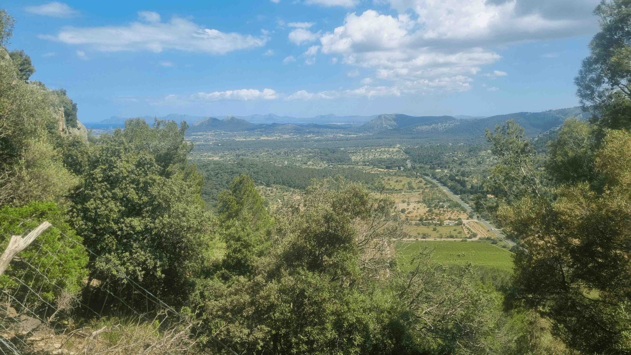 2025-Mallorca-Tag1 (29)