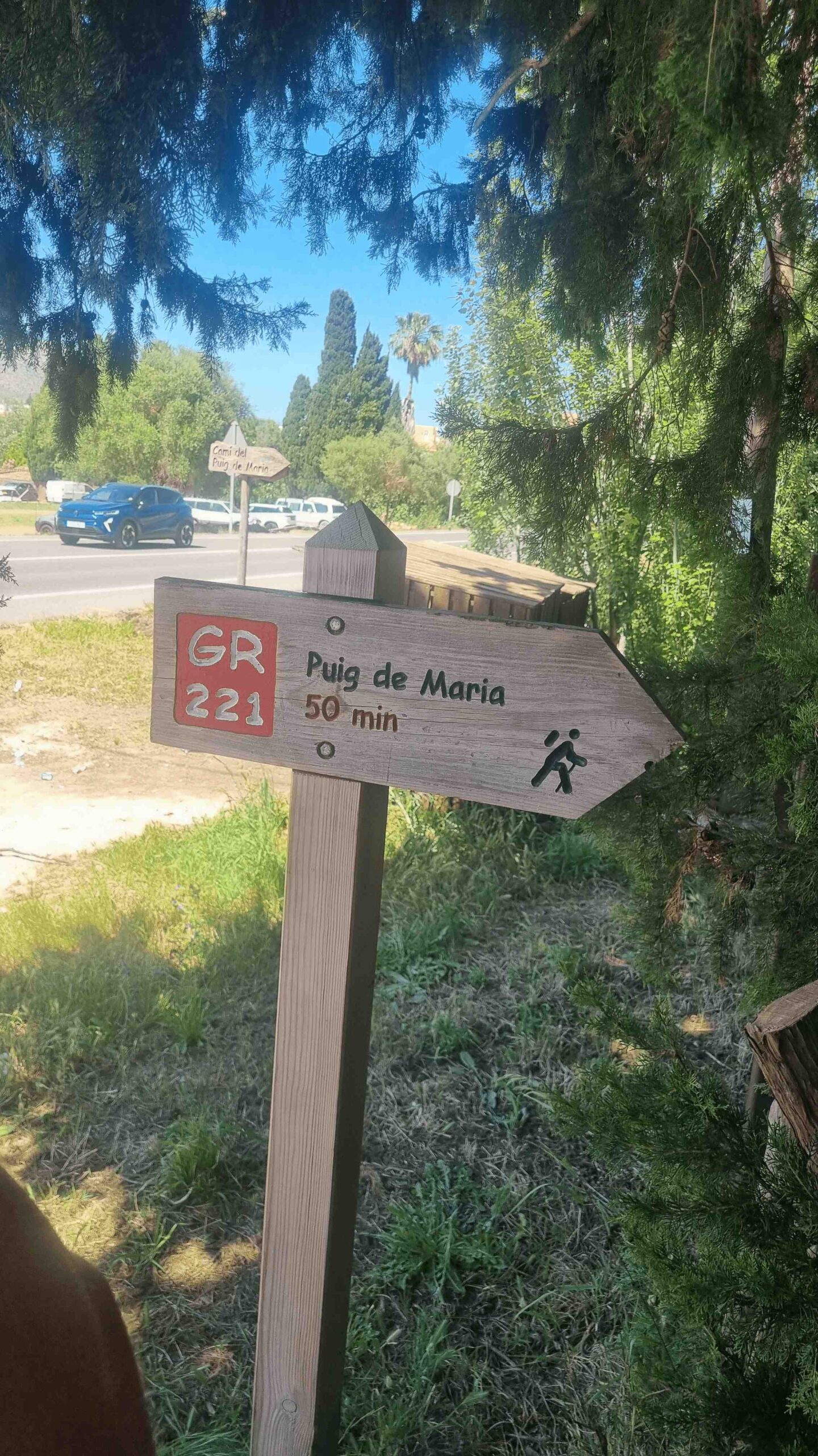 2025-Mallorca-Tag1 (31)