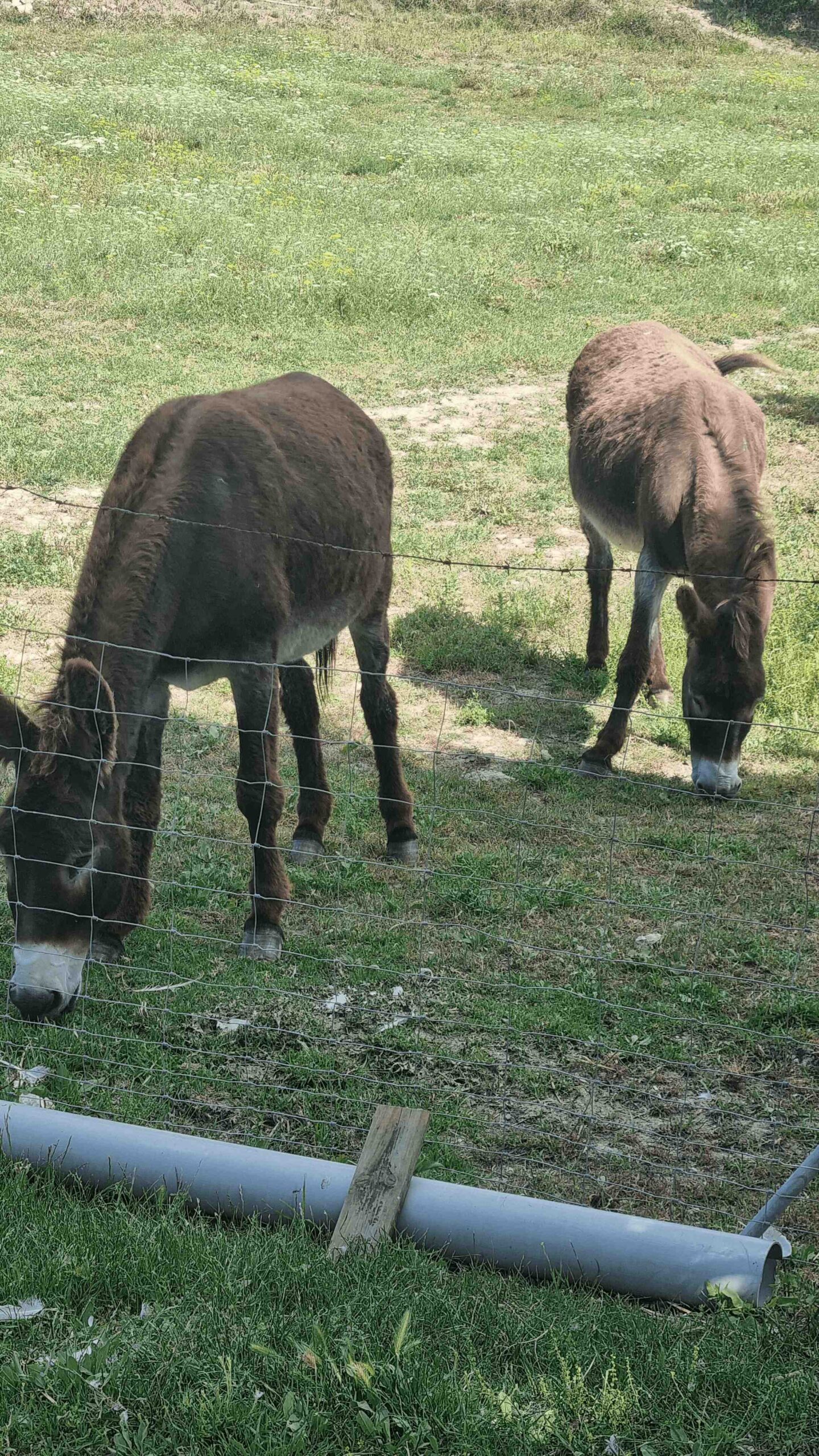 2025-Mallorca-Tag1 (33)